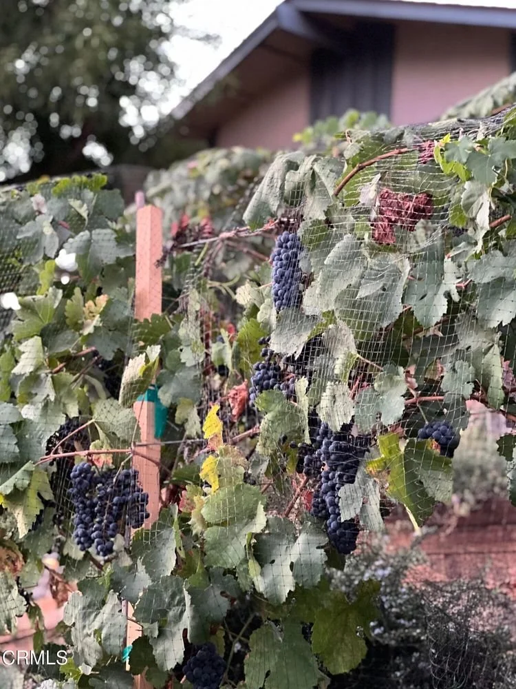 3451 Brookhill St 005.jpg