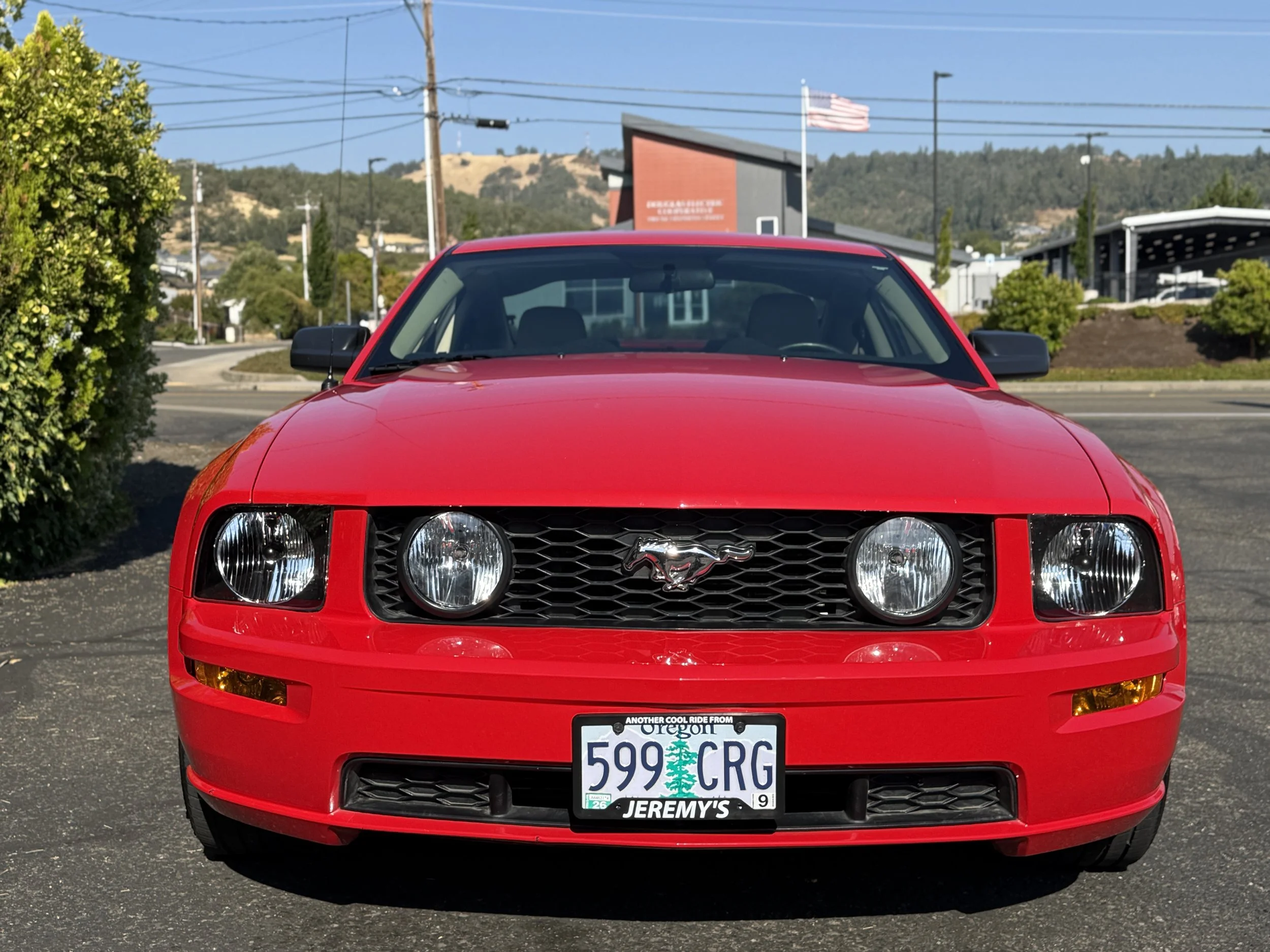 IMG_3903.jpg
