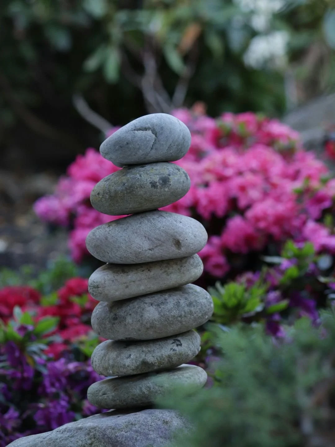 Finding Peace When Things Don't Go Our Way