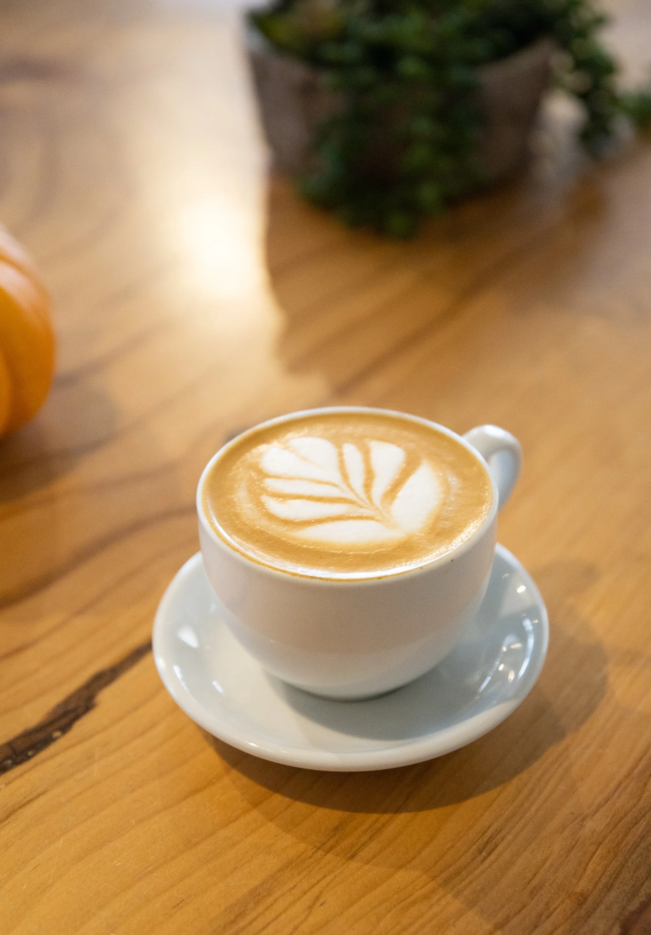 LighthouseCoffee_Oct2022_9.jpg