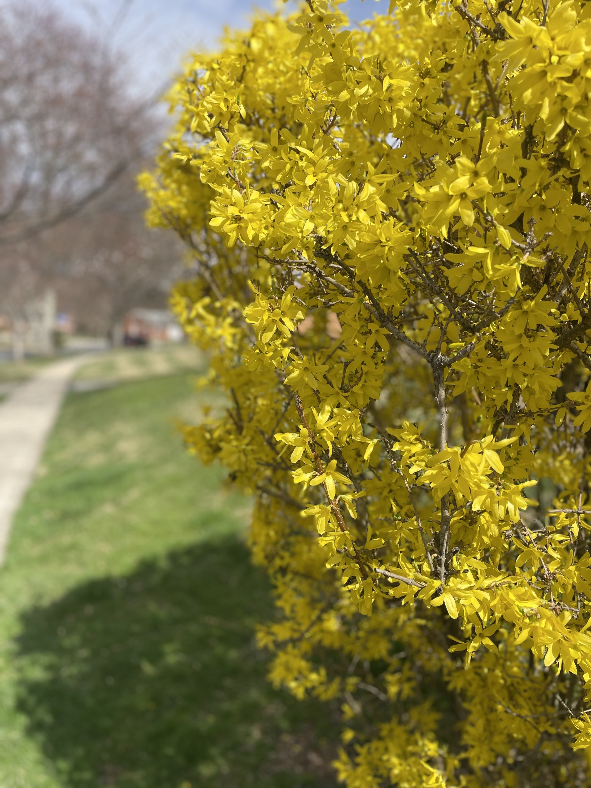 IMG_1435.jpeg