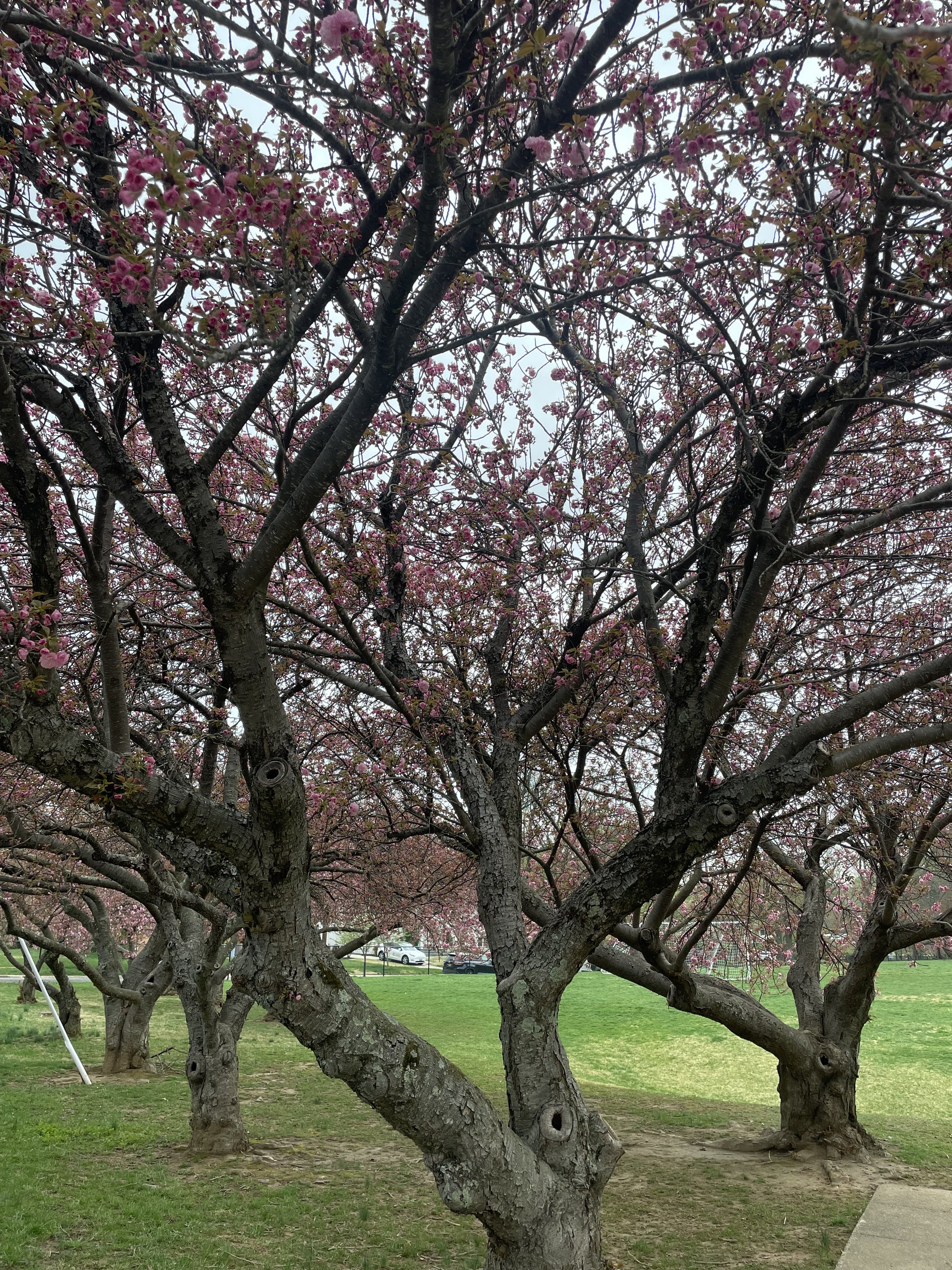 IMG_1569.jpeg