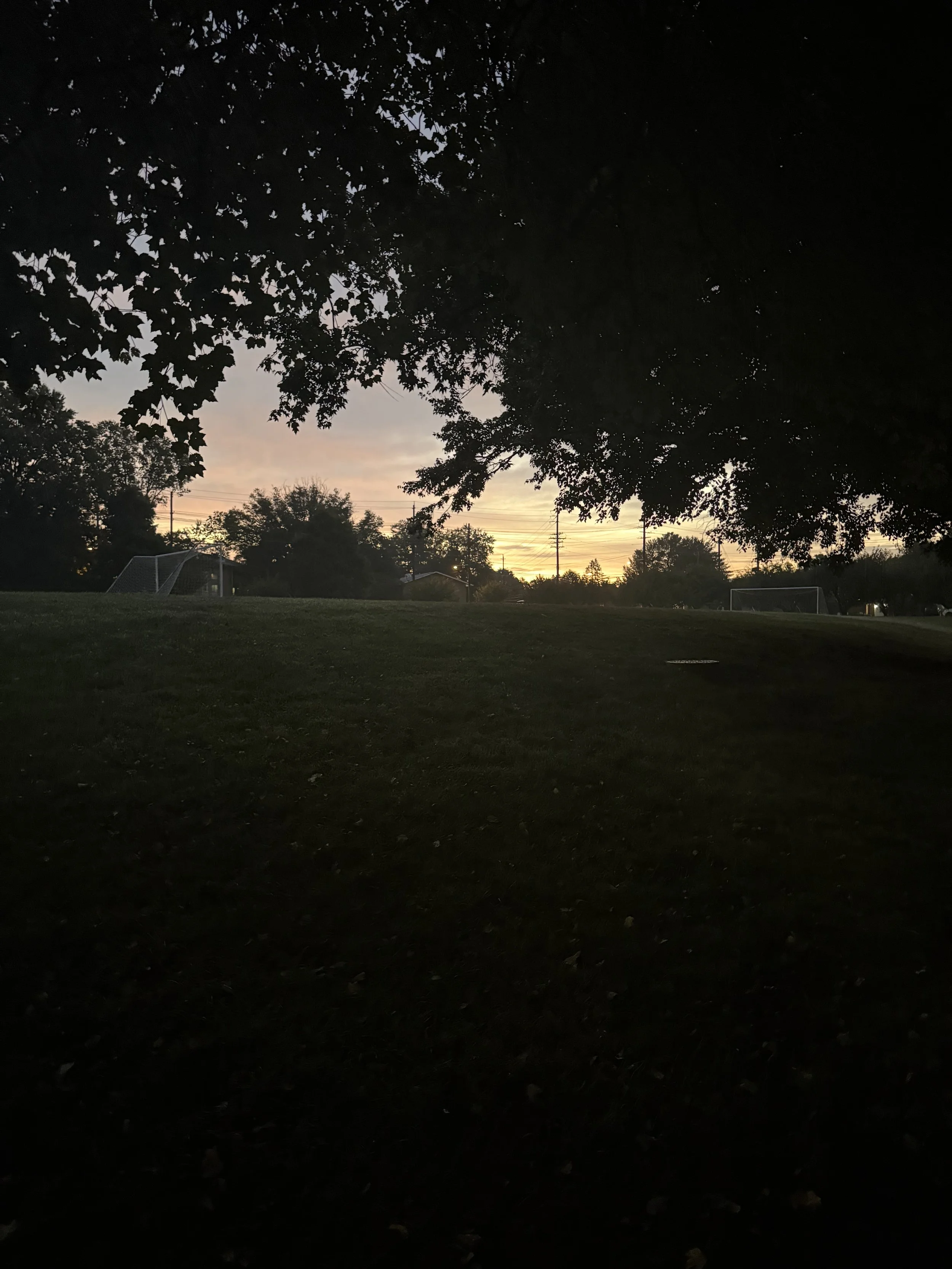 IMG_6783.jpeg