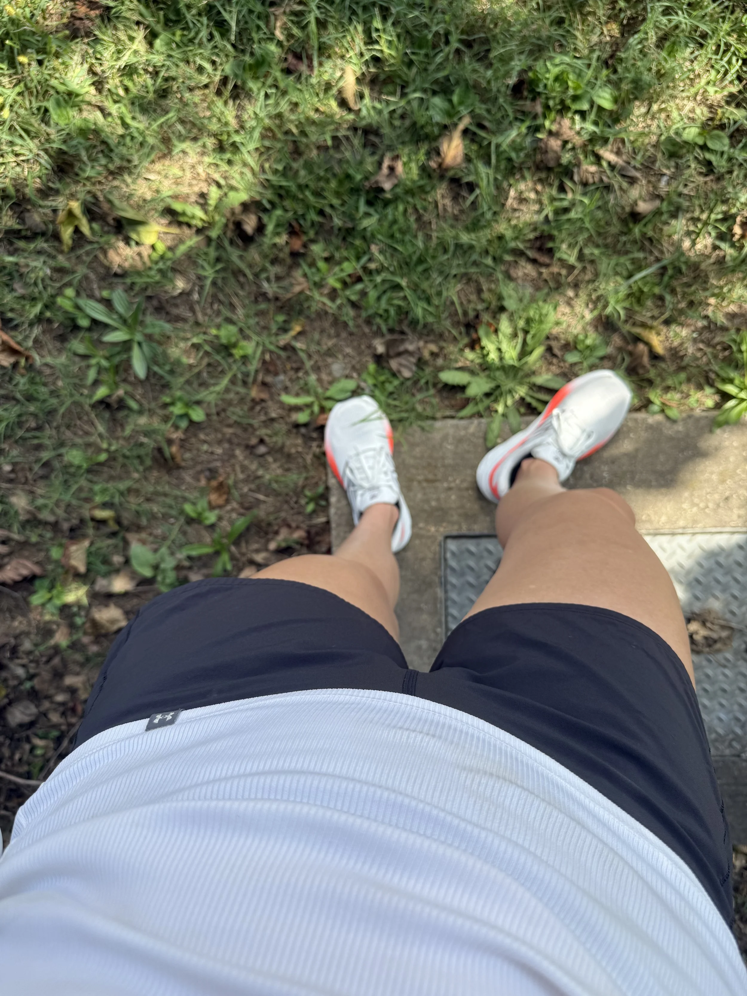 IMG_6865.jpeg