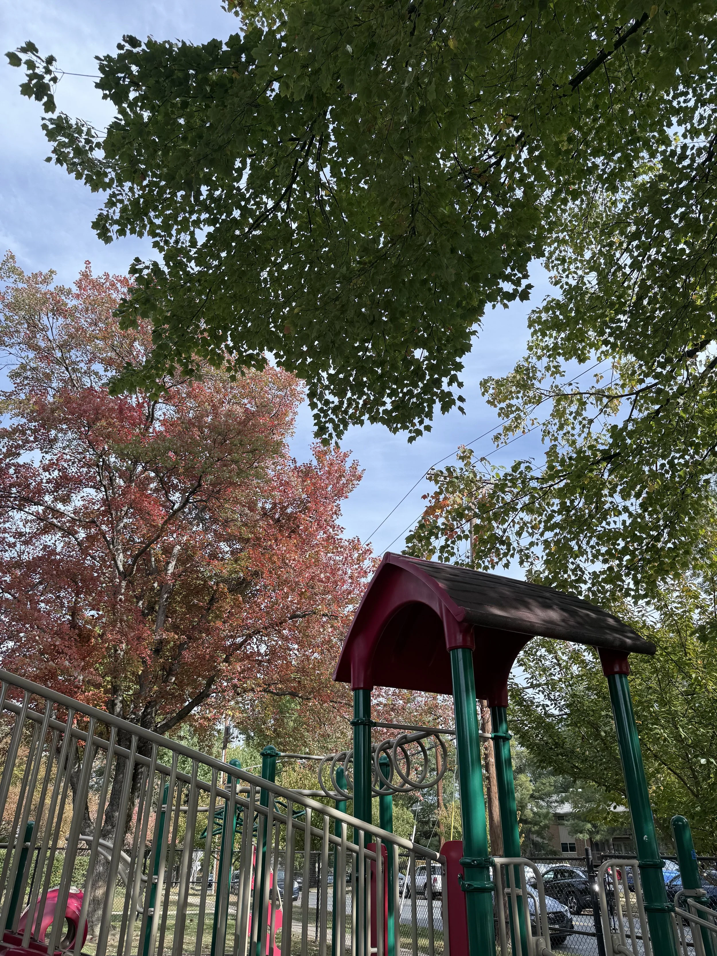 IMG_7256.jpeg
