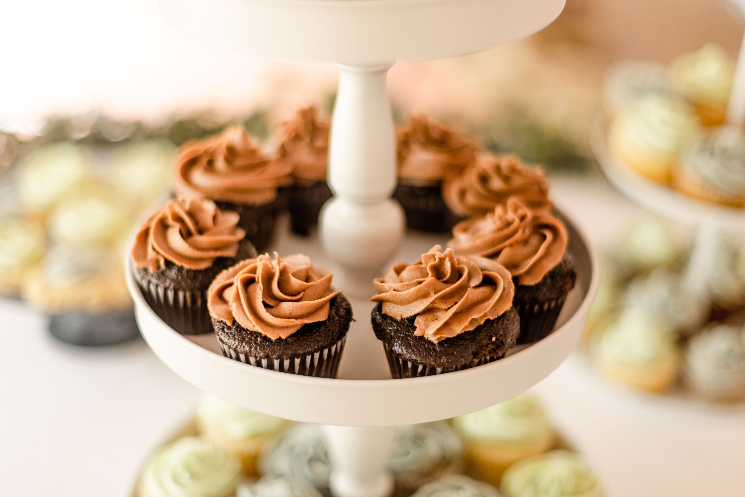 Top Recommended Peoria, Illinois Vendors for your 2023 Wedding