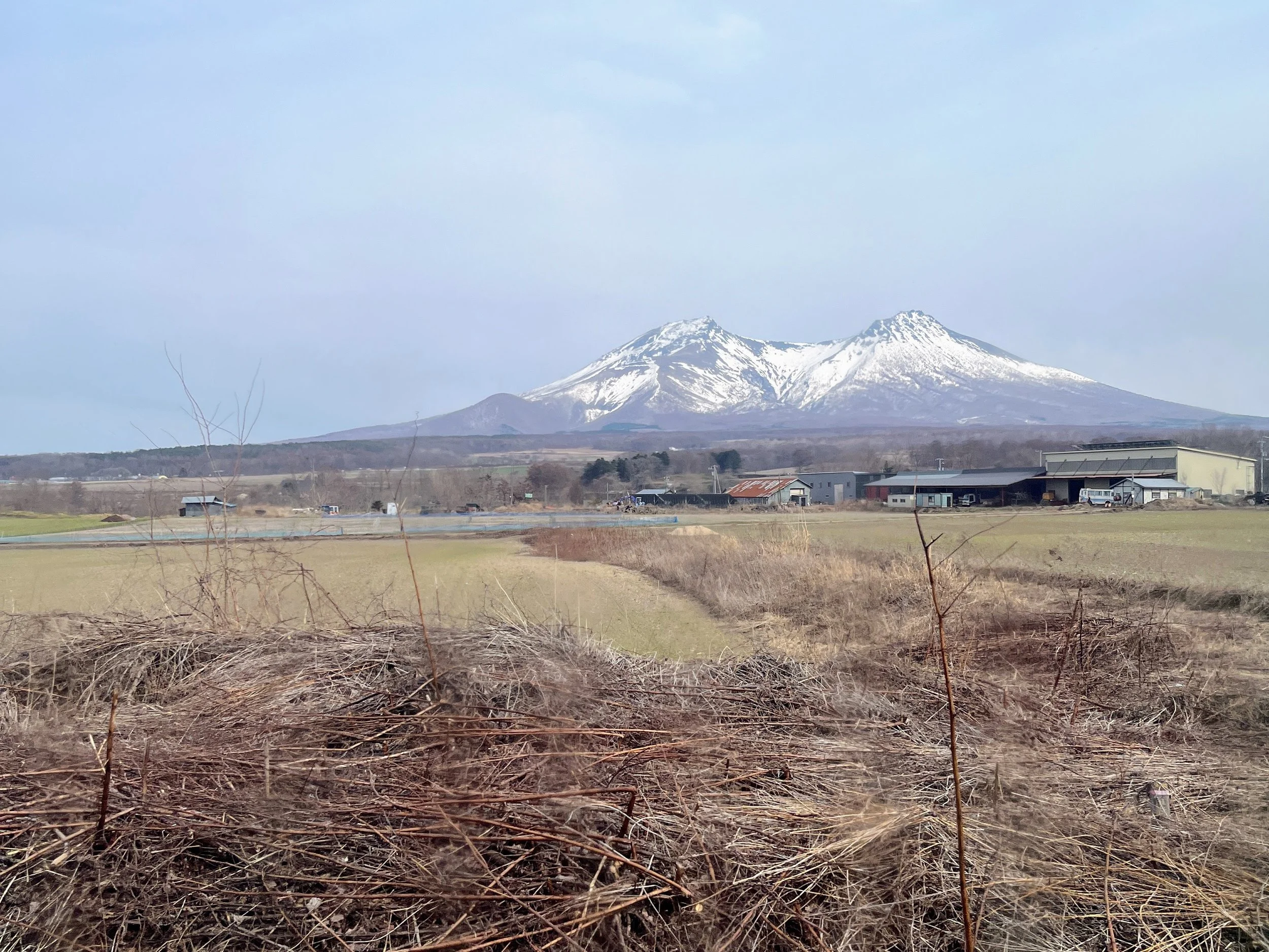 Tokyo to Sapporo by Train: April 10th, 2025