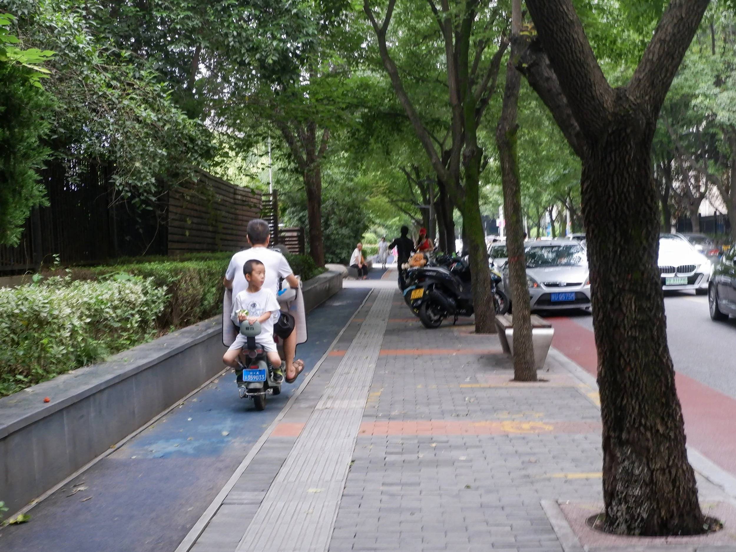 A child and grandparent zoom by close to a park near my hotel.