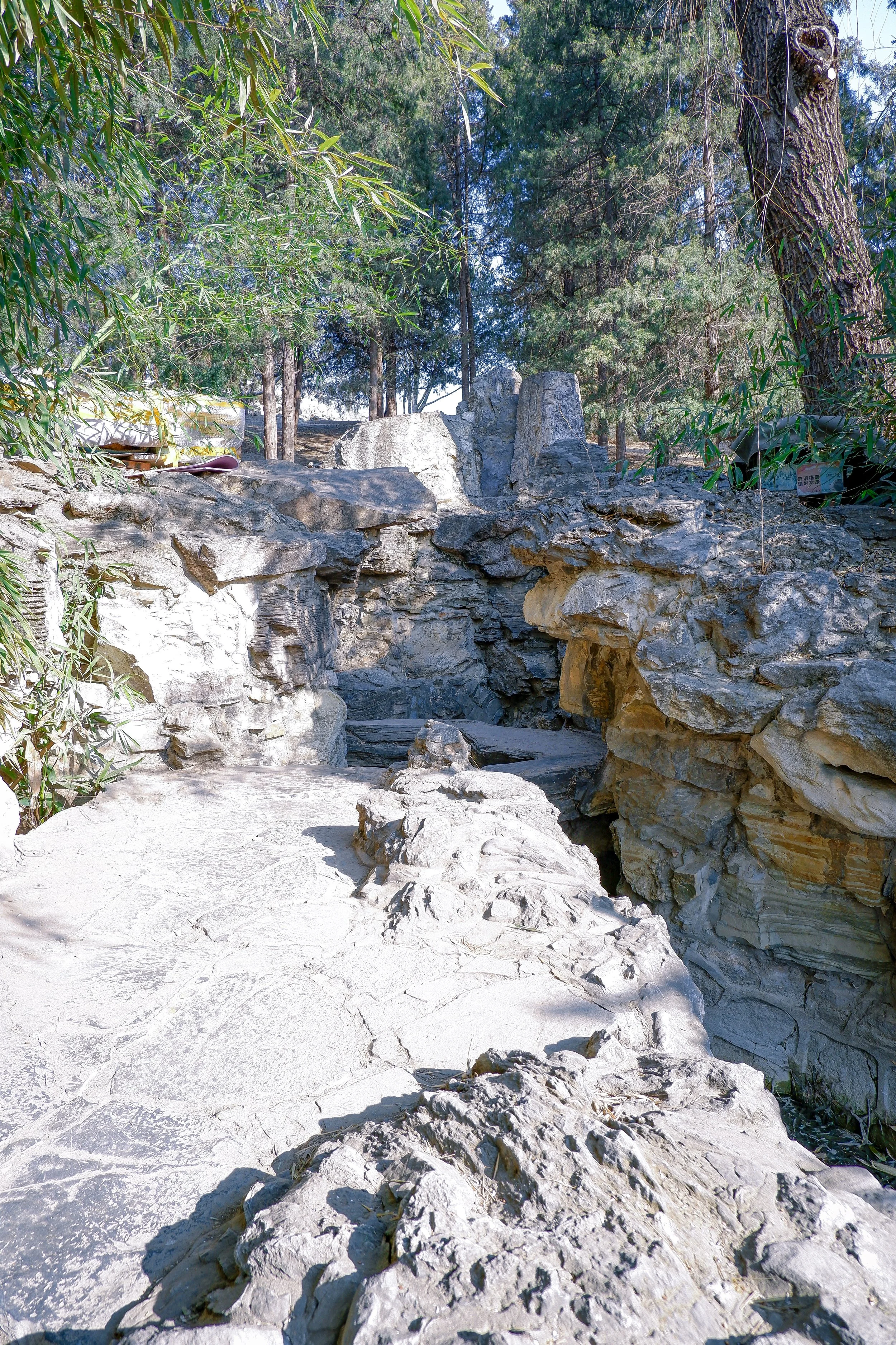 9-DSCF3820.jpg