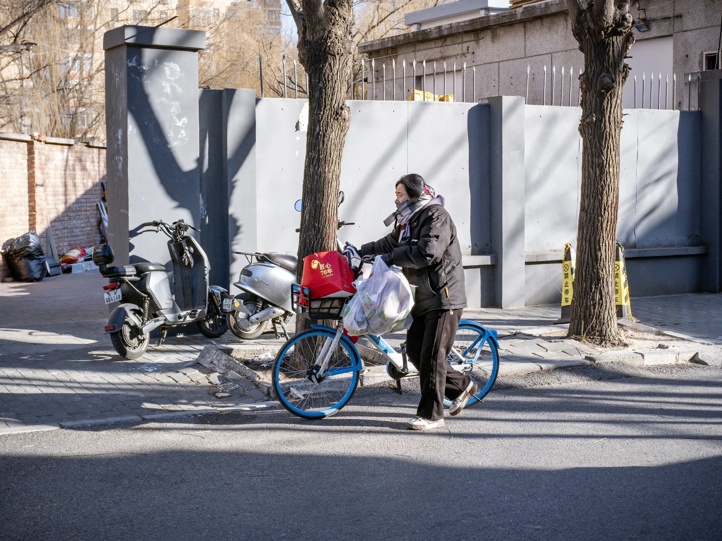 Bundled up pushing a bike in a Beijing back alley.
