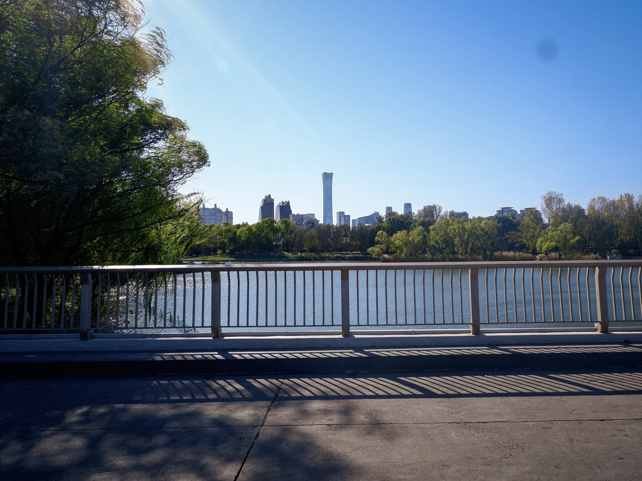 Looking south toward the Central Business District