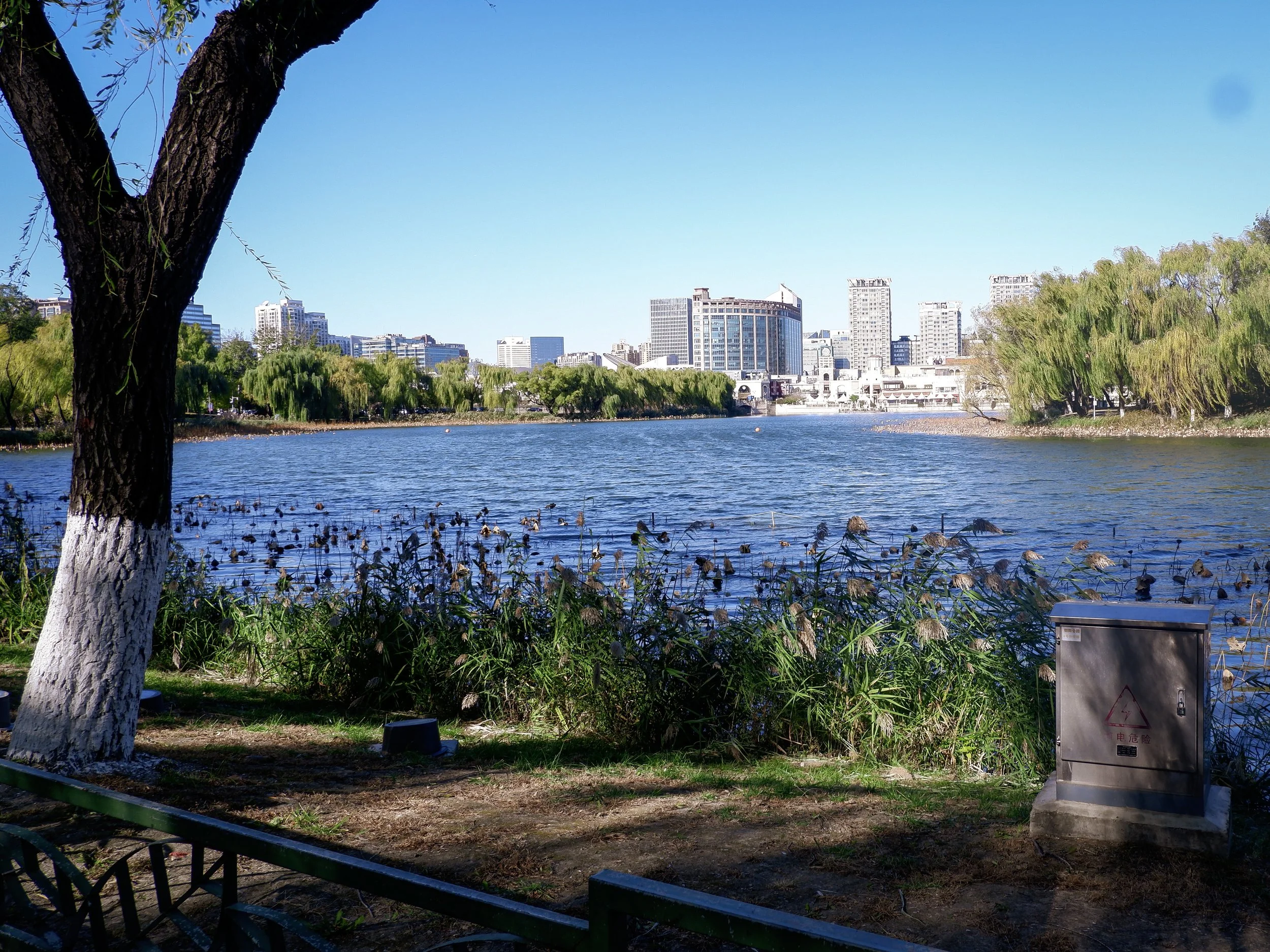 A look over Lotus Lake toward's Solana Mall