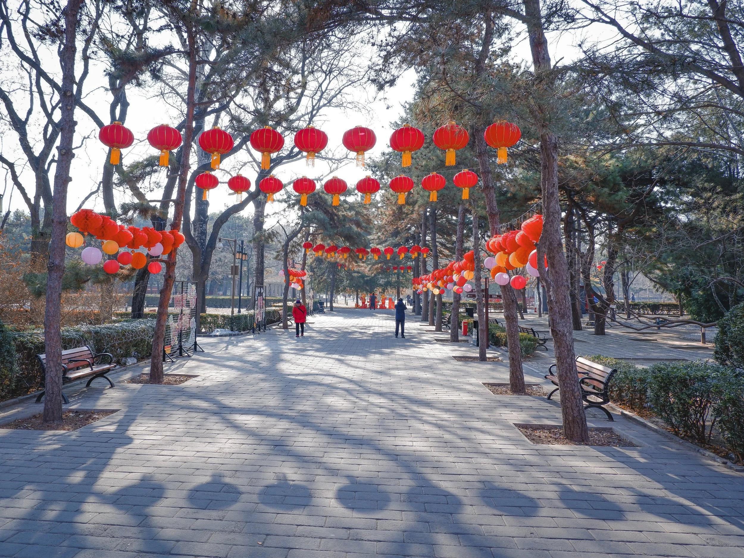 Decorations for the New Year.