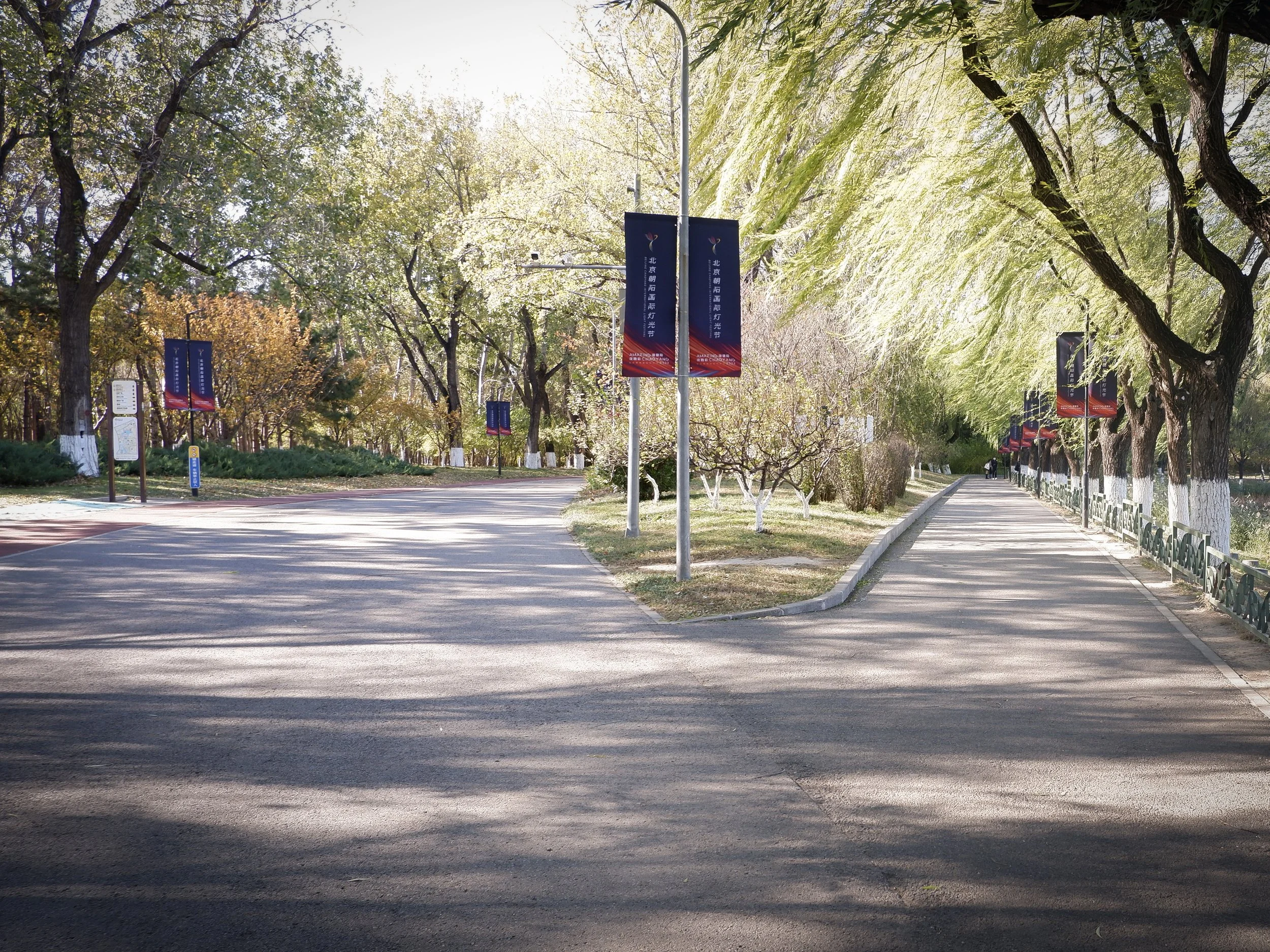 Two roads diverge in a Chinese Park...