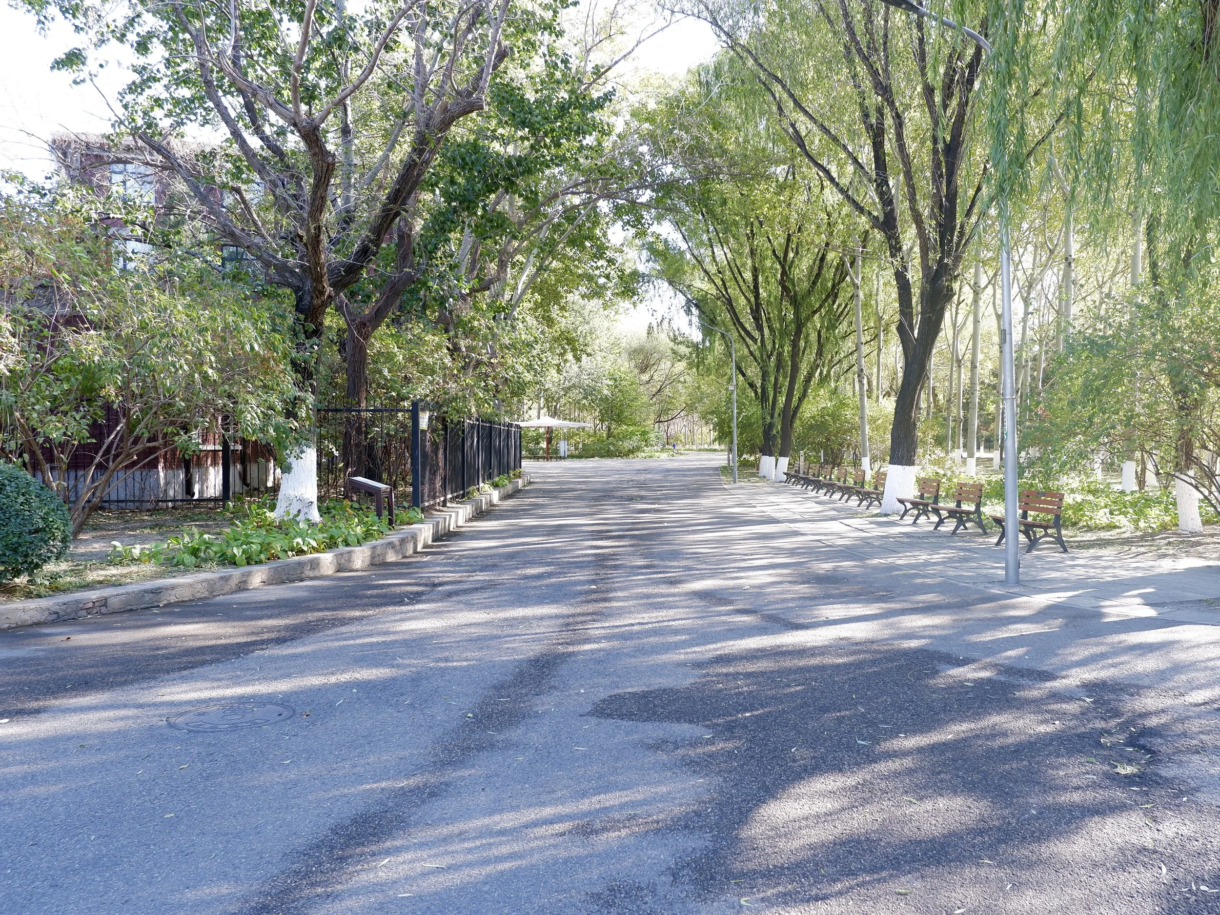This road leads to small soccer pitches.