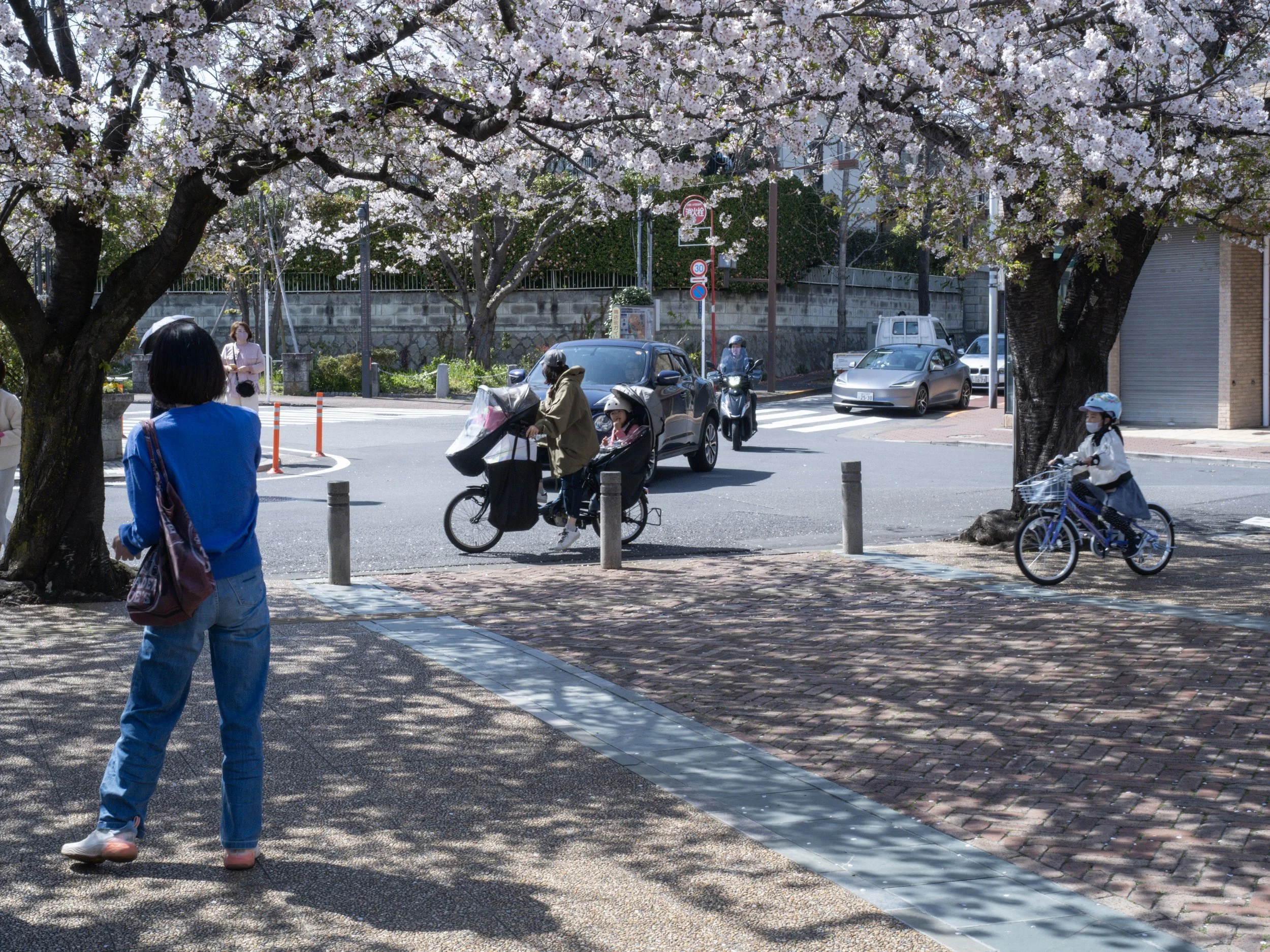 Den-en-chofu, Tokyo, Japan.
