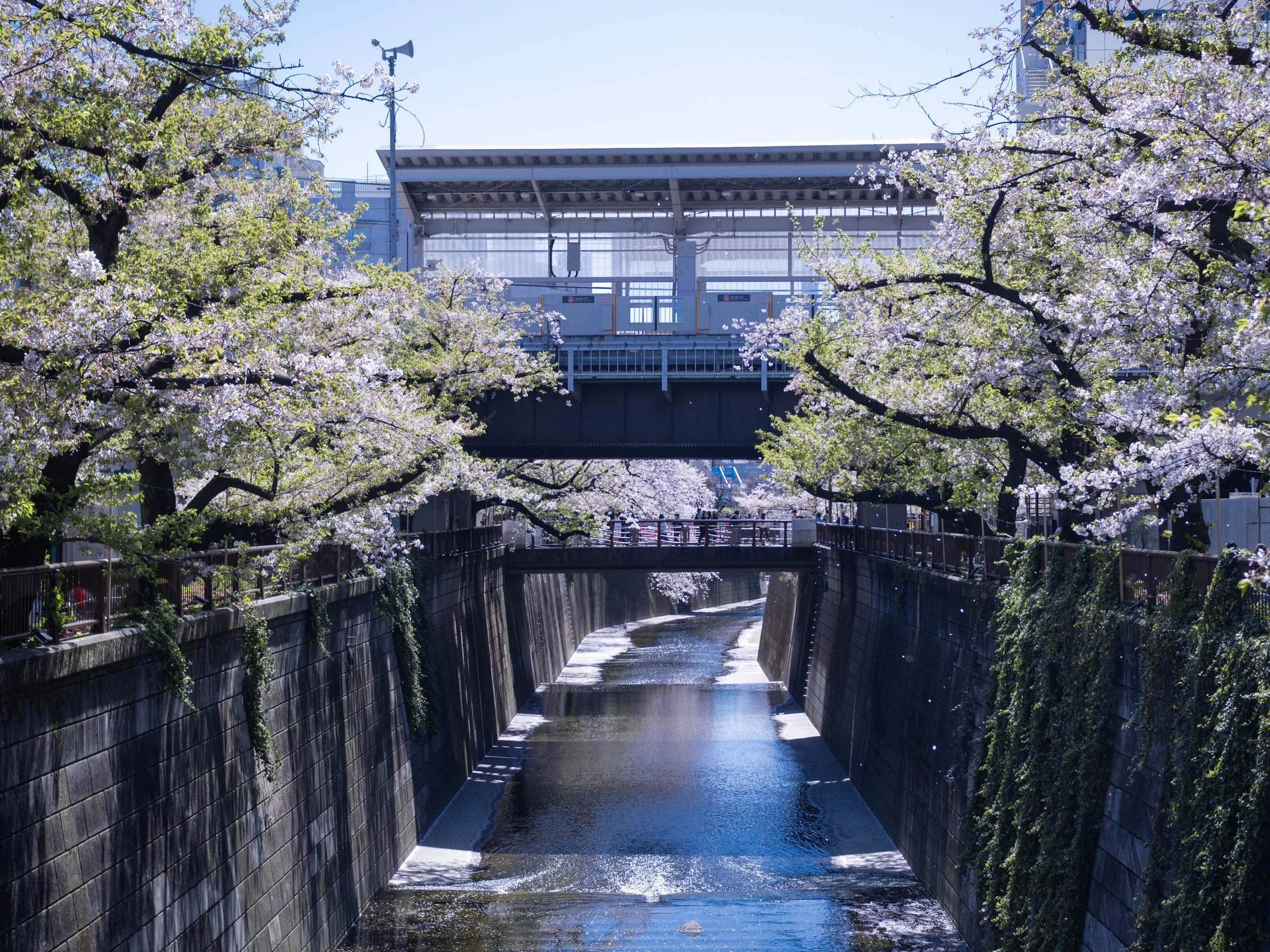 Nakameguro, Tokyo, Japan.