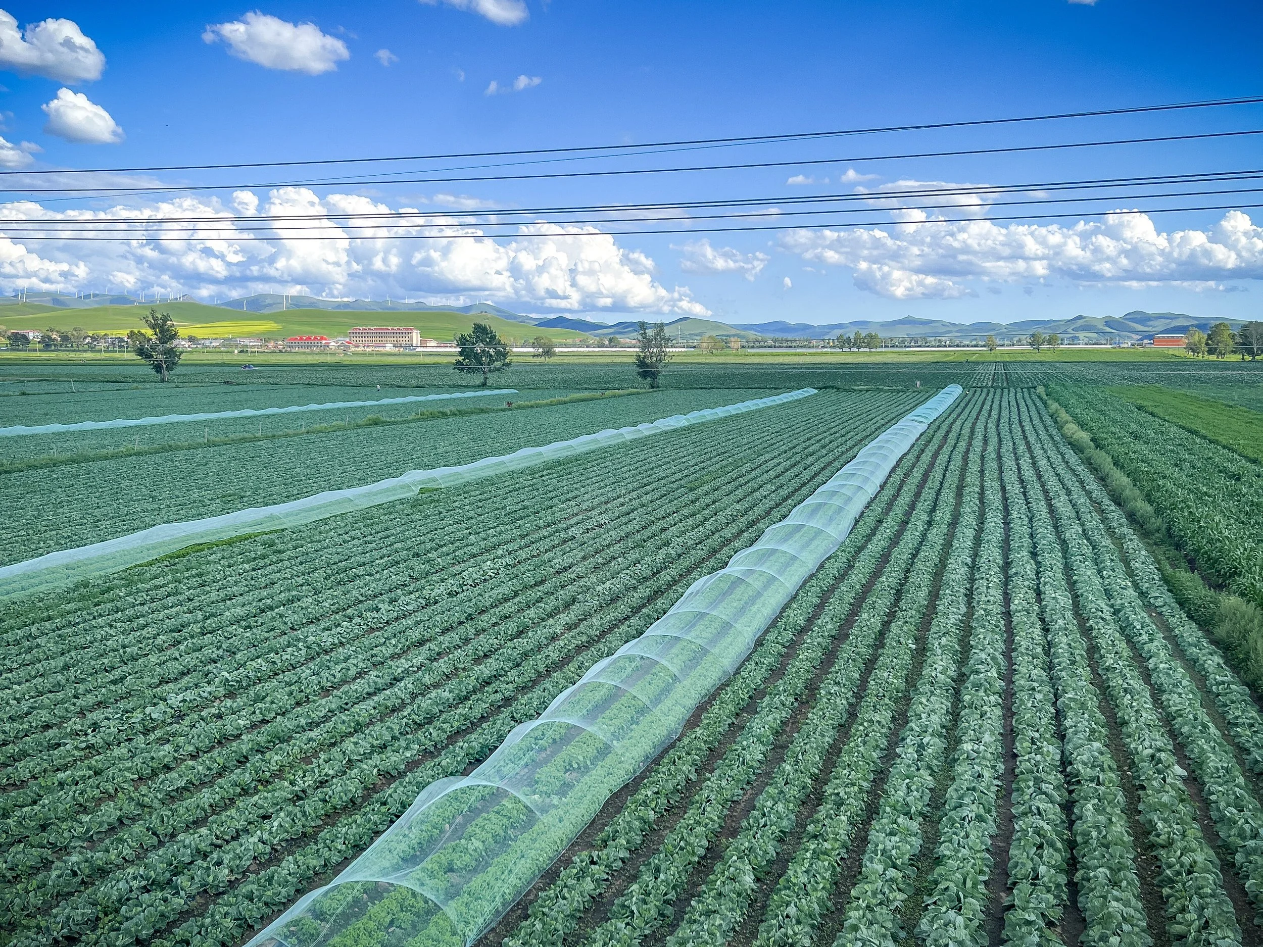 Farmland outside Datanzhen.