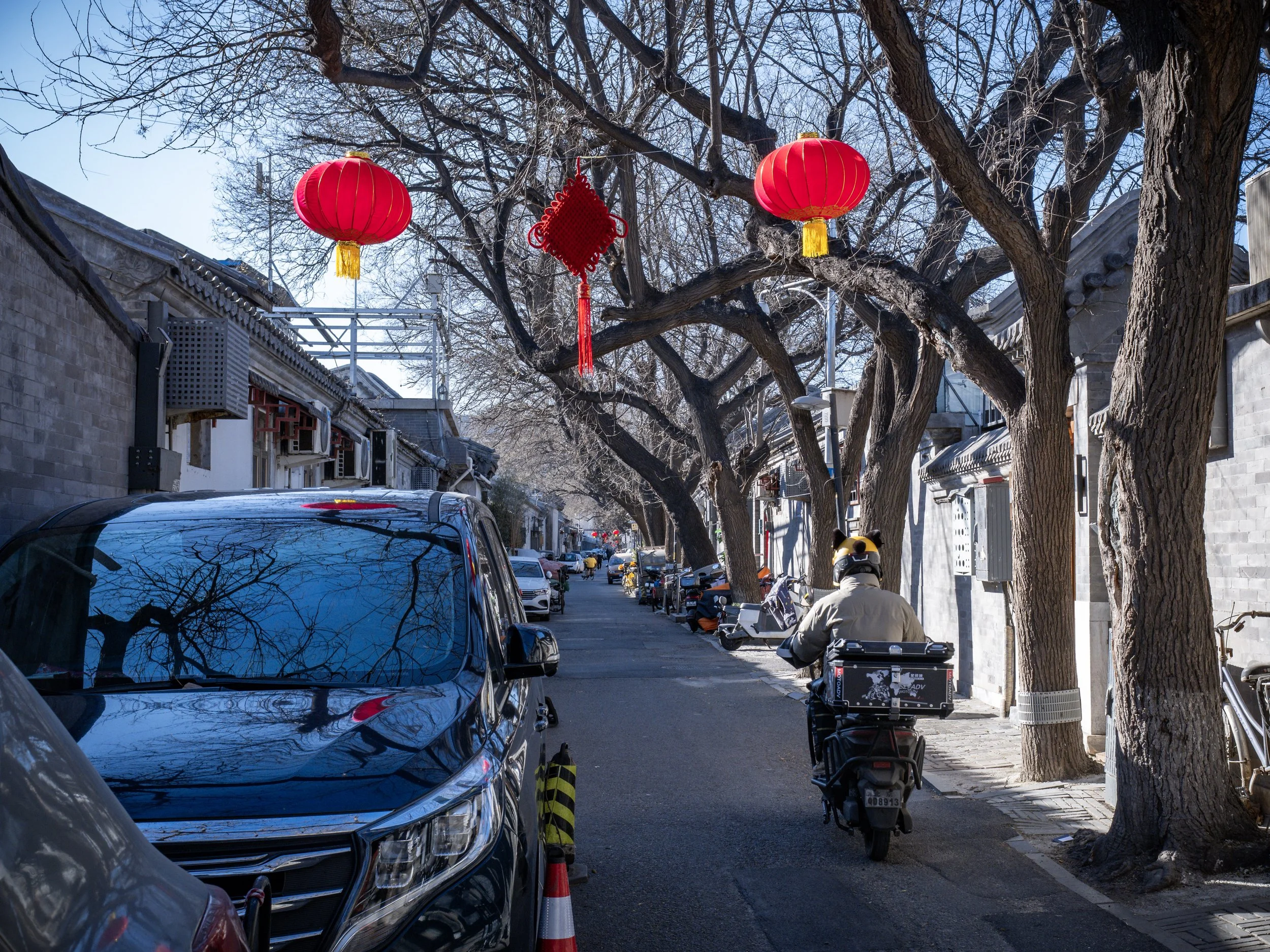 Red lanterns for Chinese New Year.