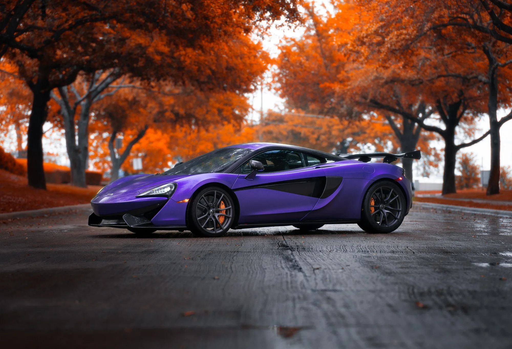 TAV08243-Edit.jpg