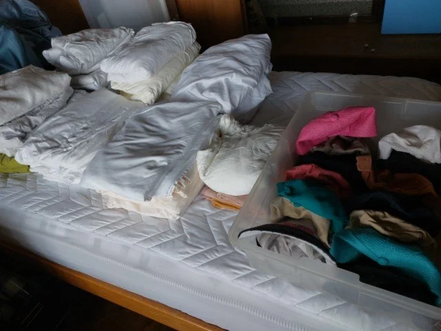 IMG_20250815_155632.jpg