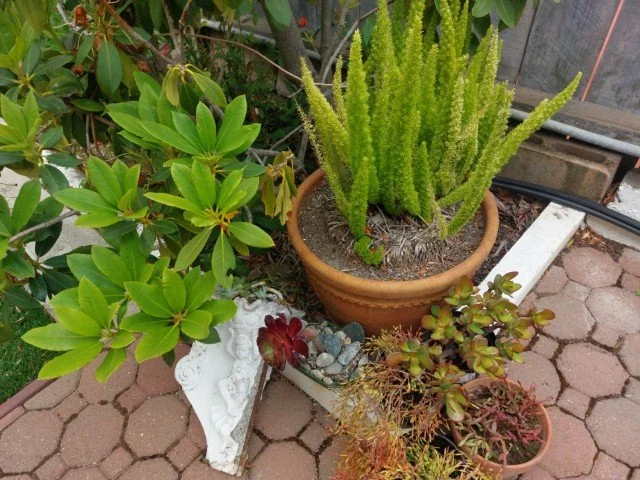 IMG_20260529_143137.jpg