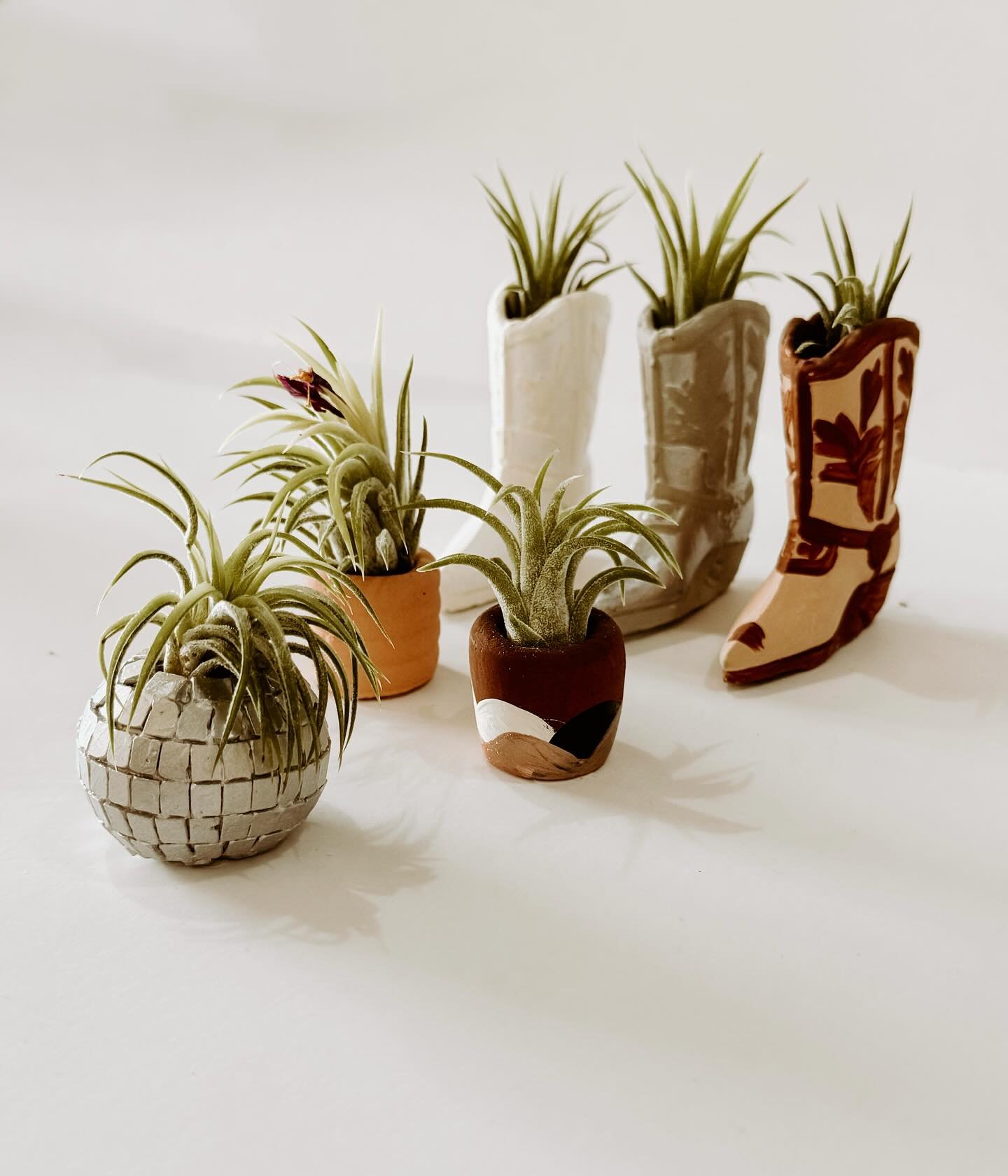 Air plants are back! 🪴 The boots now have new colors available too, aren&rsquo;t they cute? 

Available in store + online 🫶🏼