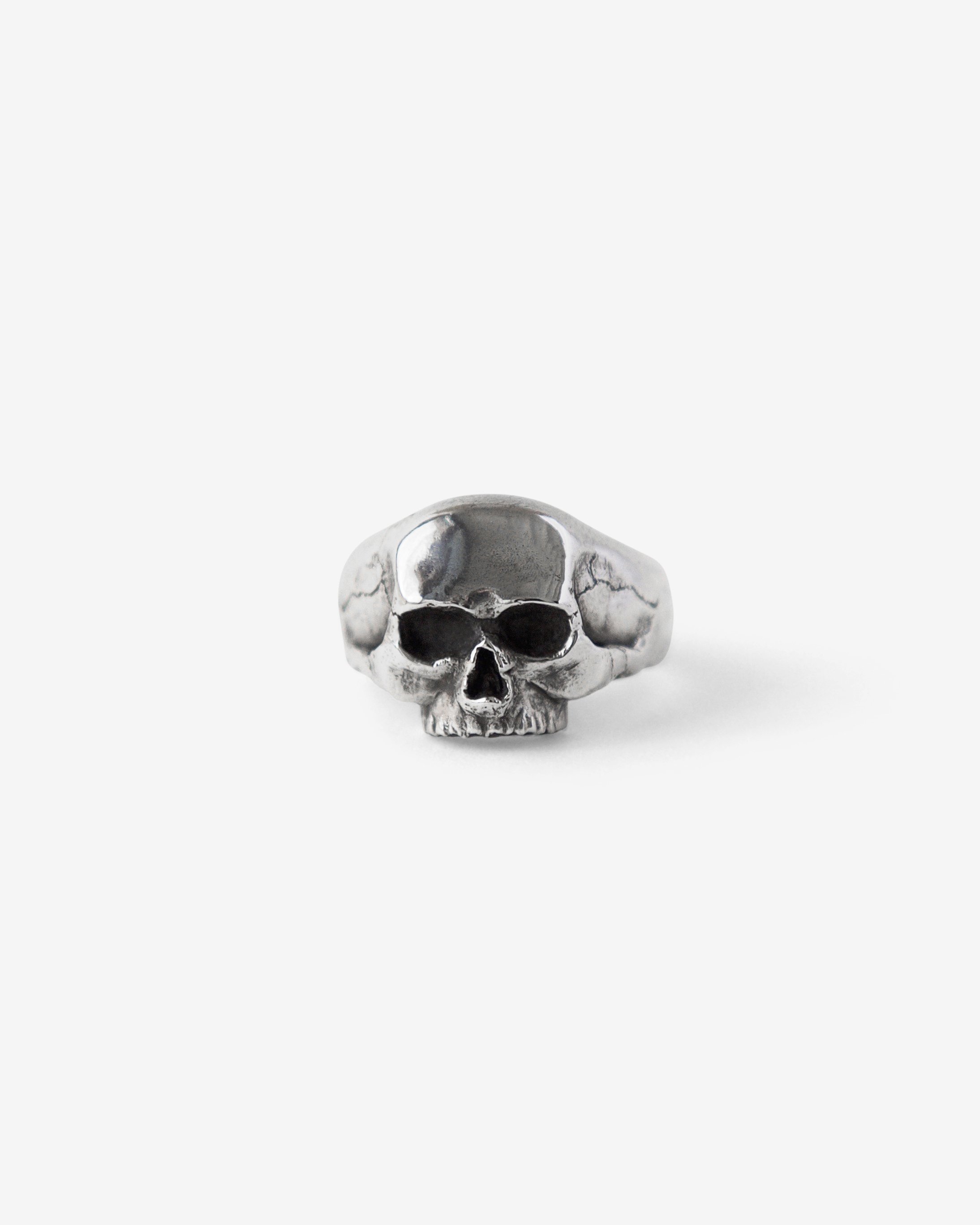 skull front copy.2jpg.jpg