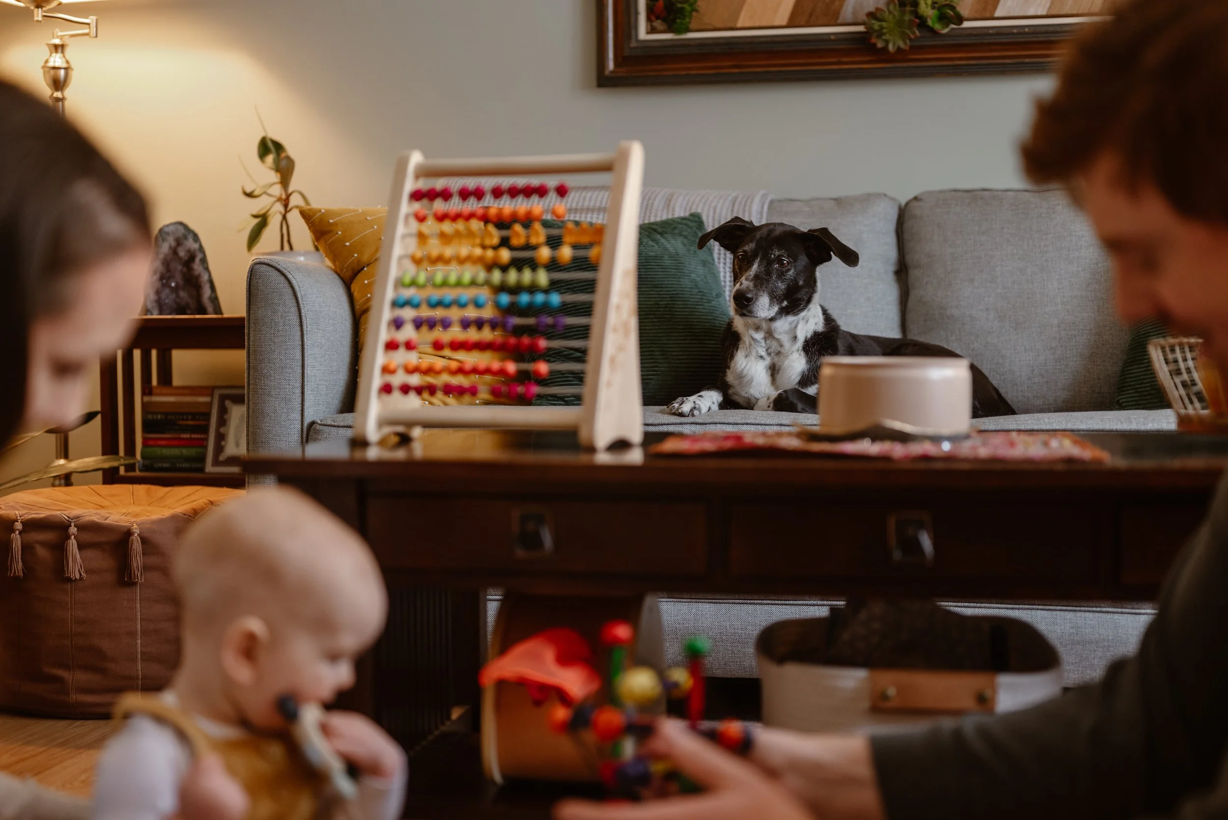 A family playing with toys in a living room with a black and white dog lying on a sofa in the background.