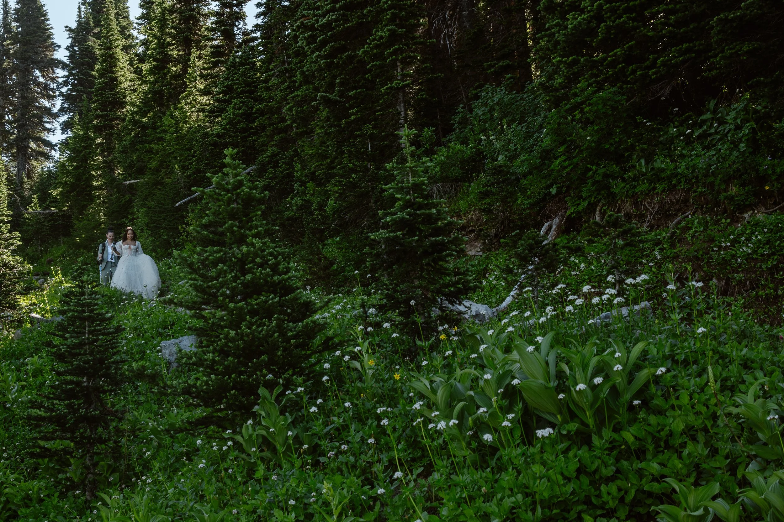 new-hampshire-elopement-and-family-photographer-mt-rainier-adventure-elopement-03.jpg