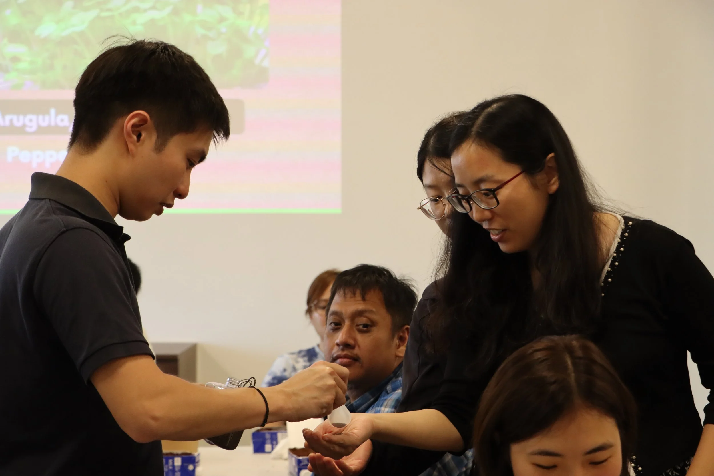 Tapping on the experience and guidance from co-founder of Greenloop Farms, Mr Jason Tan.