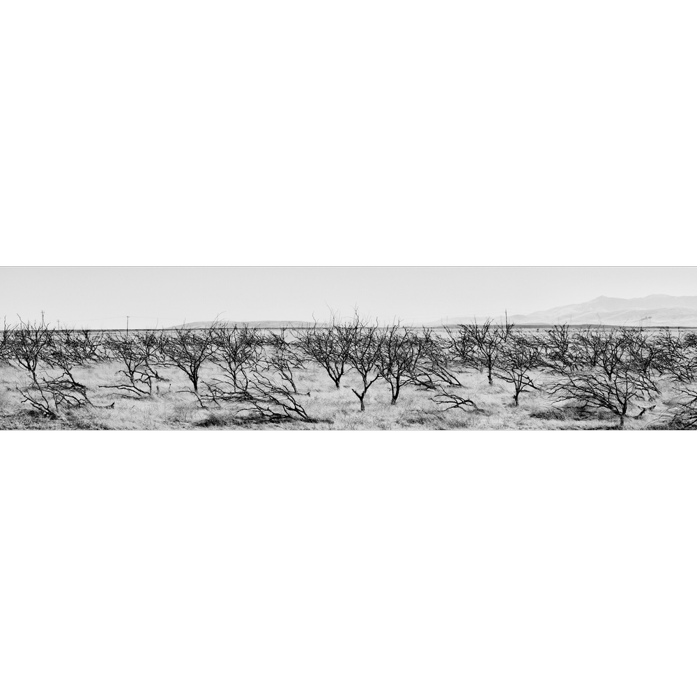 American Geography — Matt Black