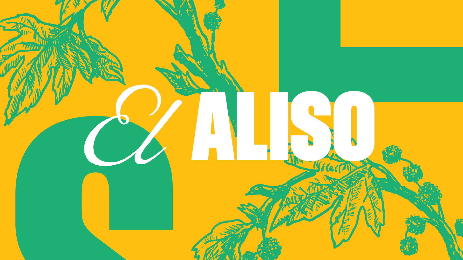 Colorful graphic with green and yellow background, featuring illustrated coffee plant branches and leaves, with the word 'Coffee' written in elegant script and 'ALSO' in bold white letters.