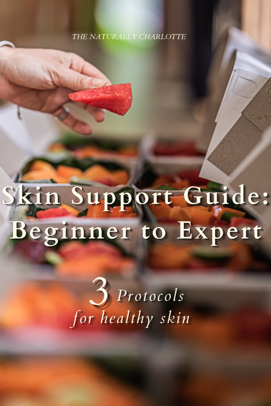 Hand holding a slice of watermelon over a box of cut vegetables, with the text "Skin Support Guide: Beginner to Expert" and "3 Protocols for healthy skin" on the cover.