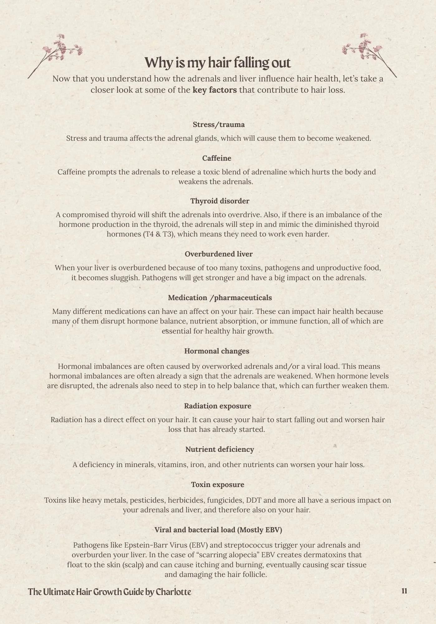 The Ultimate Hair Guide kopie 2.jpg