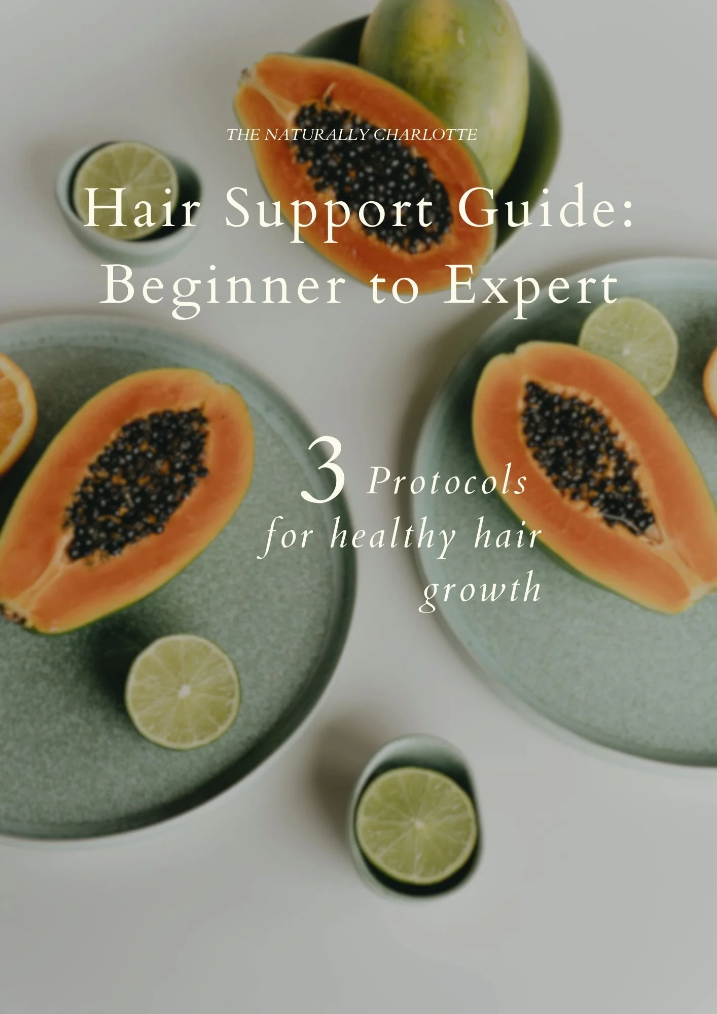 Hair Support Guide Beginner to Expert (210 x 297 mm).jpg