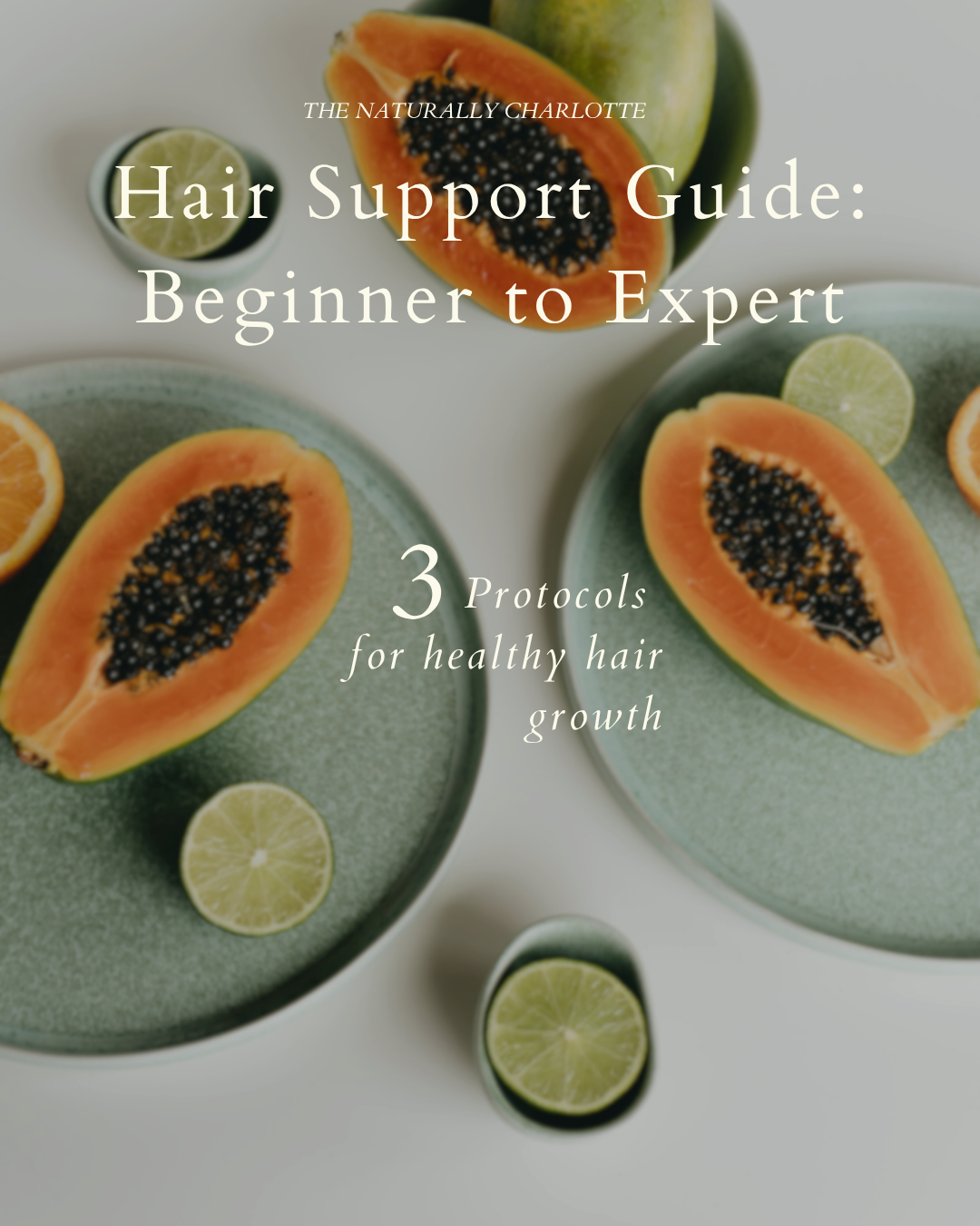 Hair Support Guide Beginner to Expert.png
