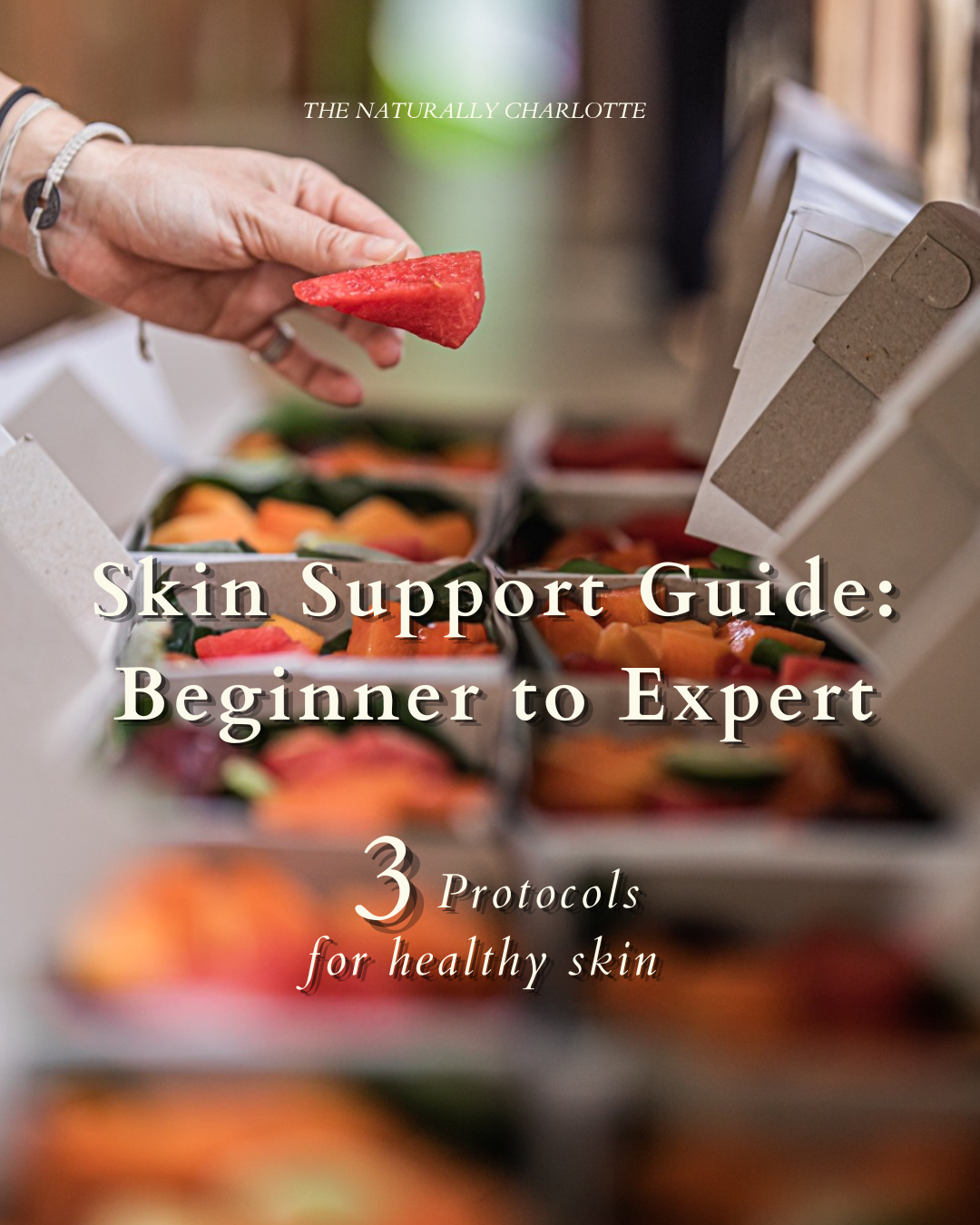 Skin Support Guide Beginner to Expert.png