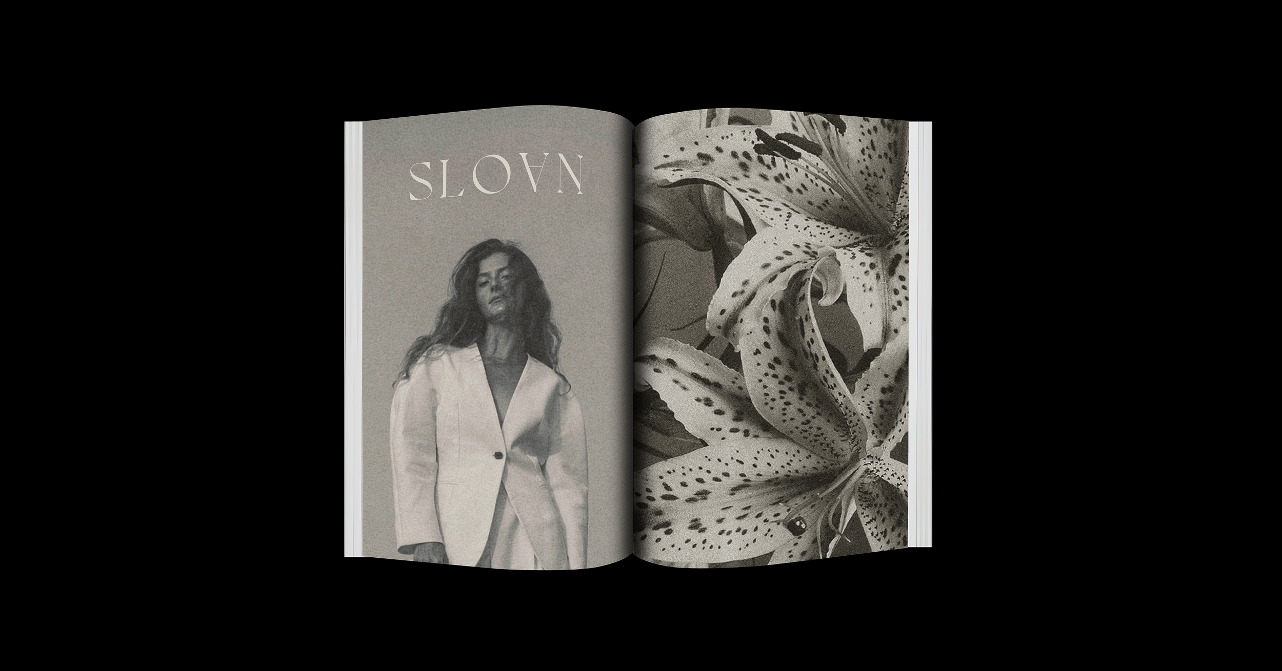 gallery sloan 4.webp