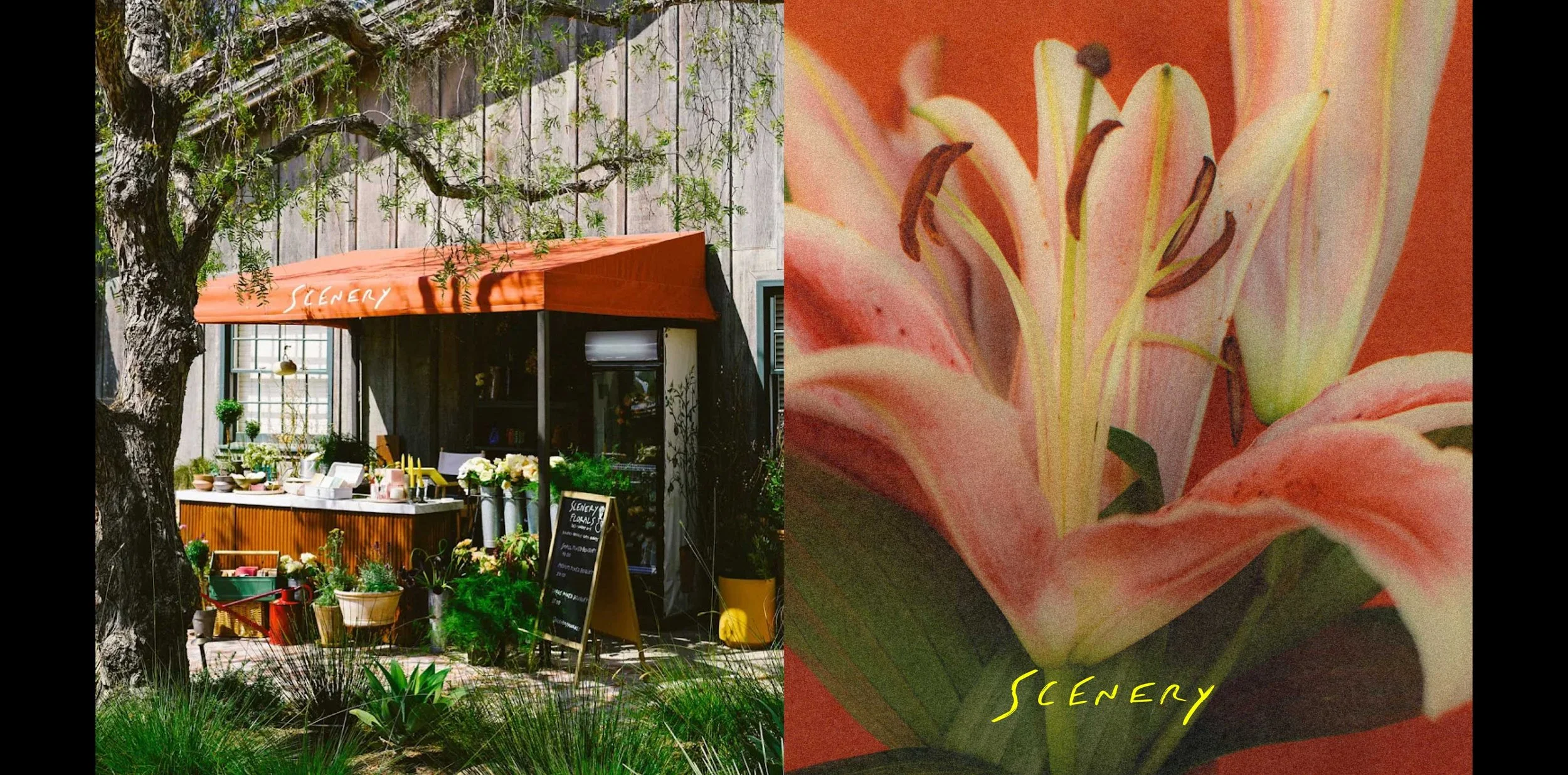 SCENERY-18.jpg