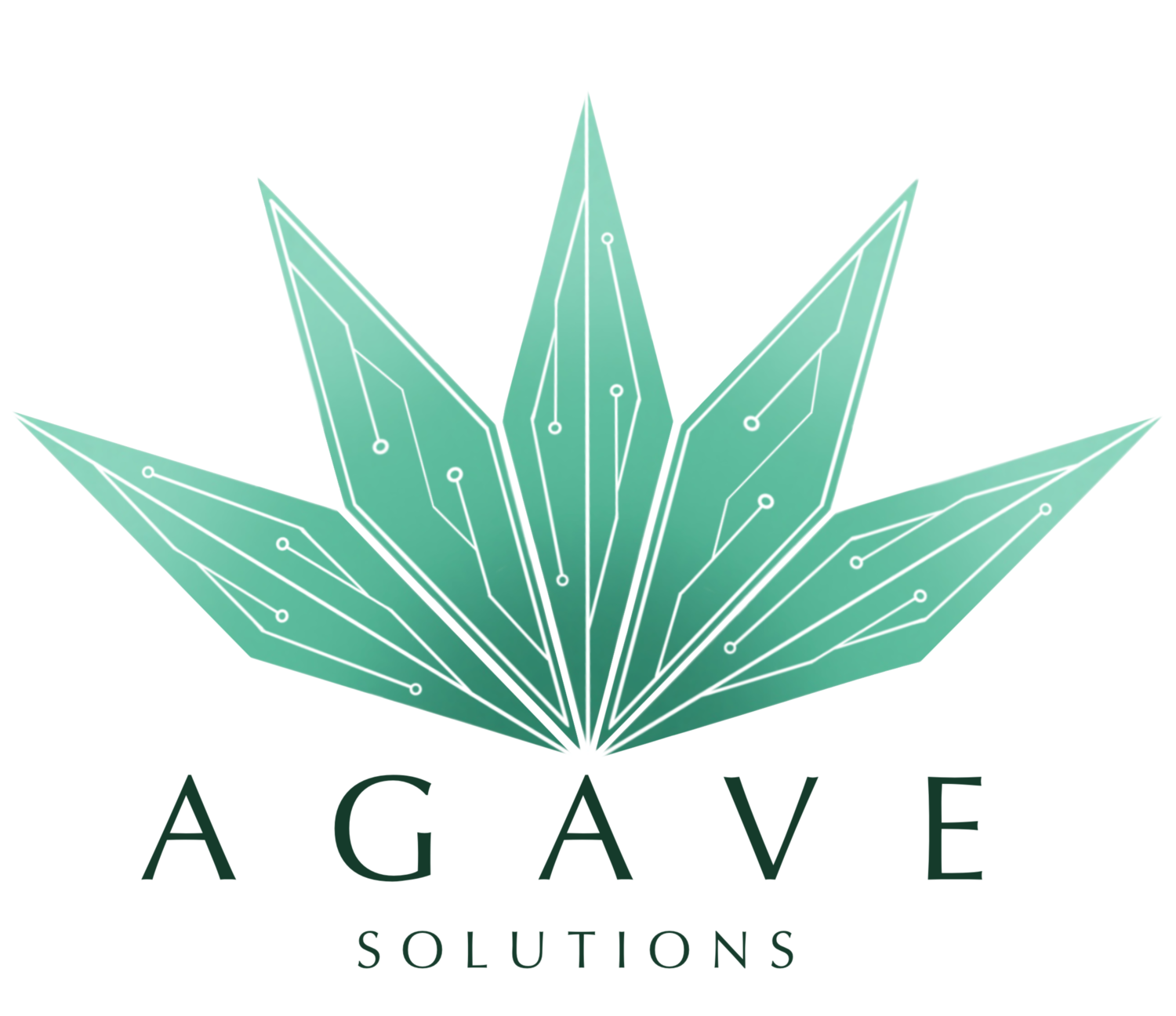 About — Agave Solutions