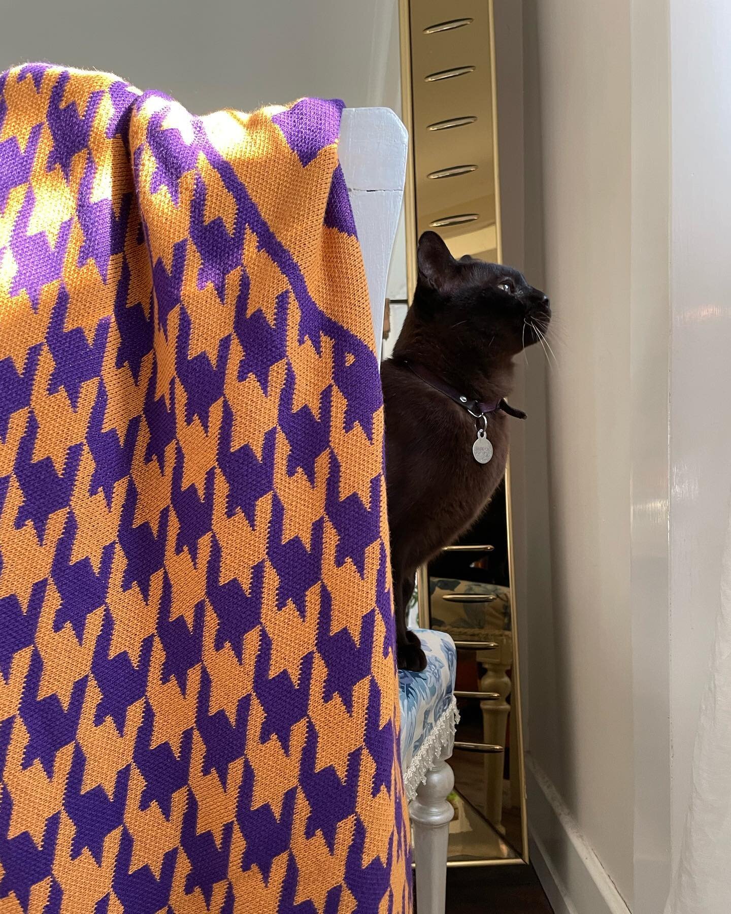 Ninja approved new colour way 💜🧡@micky_in_the_van @graceful_space_home  #interiordesign #interiordecor #throw #madeinmelbourne