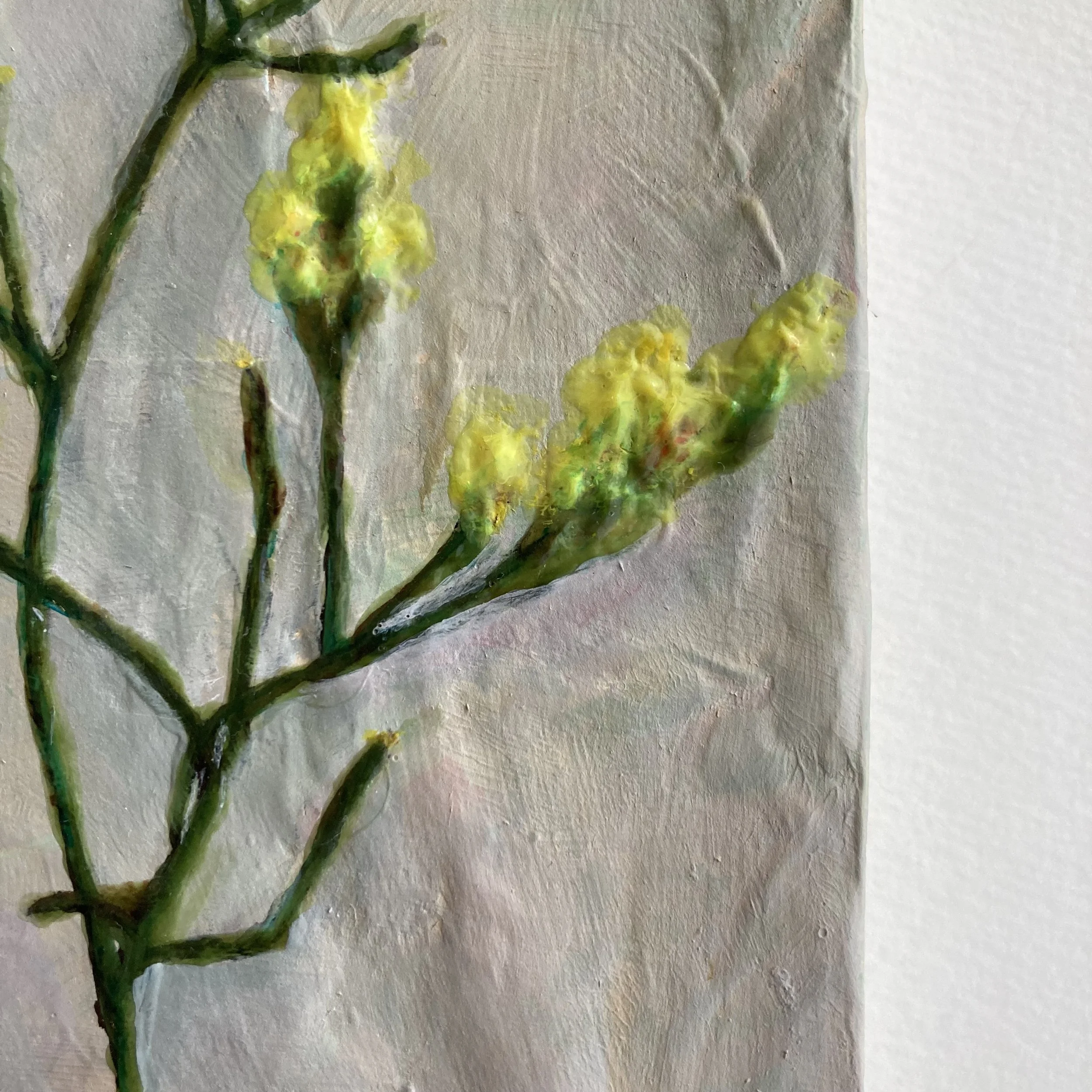 P_Yellow Statice_02.jpeg