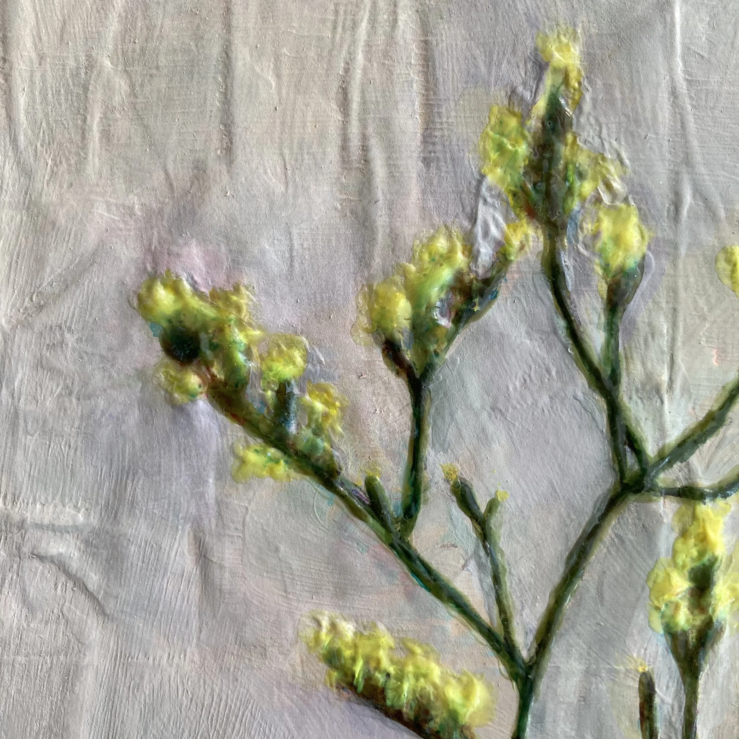 P_Yellow Statice_01.jpeg