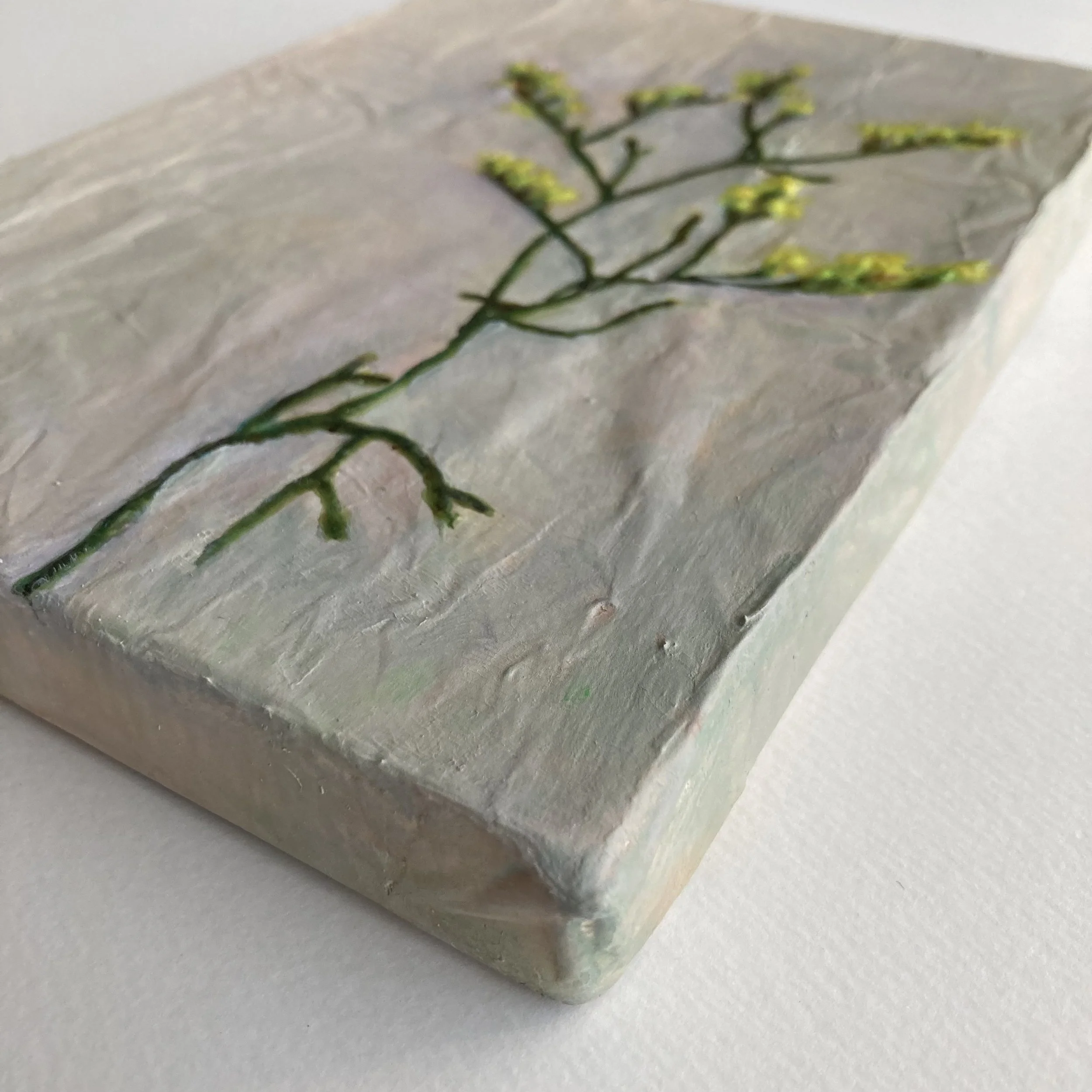 P_Yellow Statice_05.jpeg