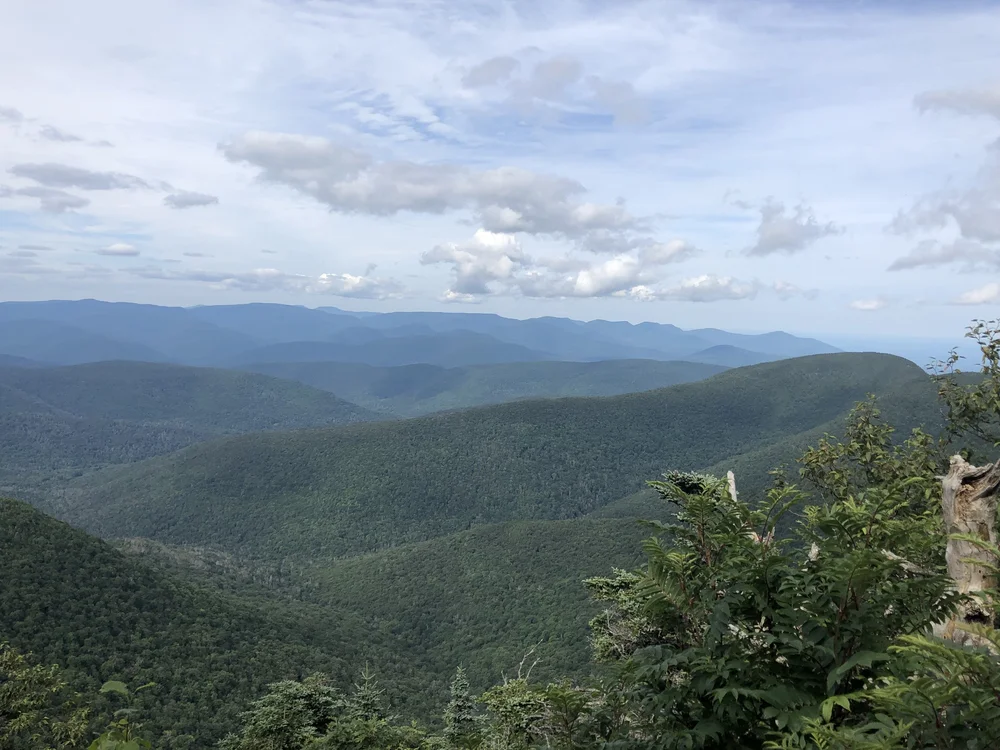 Slide Mountain Summer