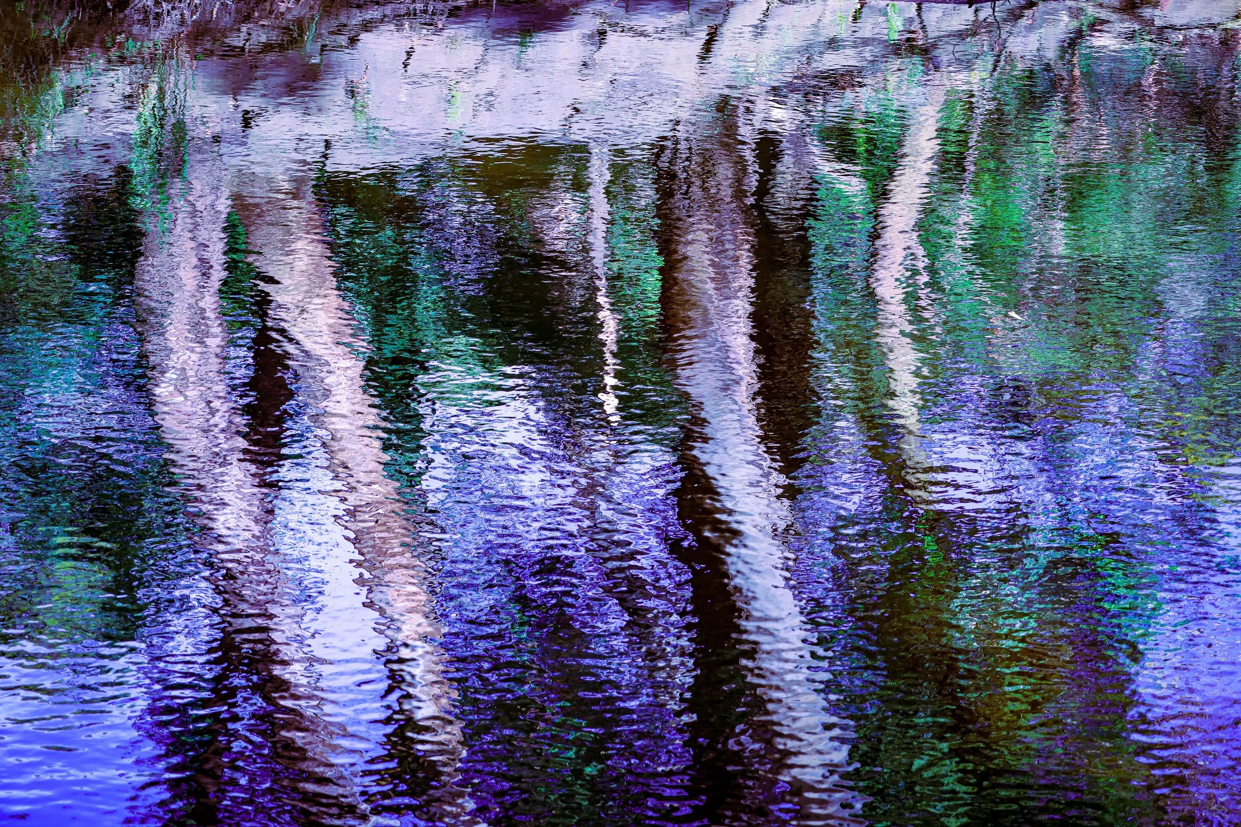 Reflections of trees in Merri Creek, Brunswick, Melbourne. Dec 2021. 