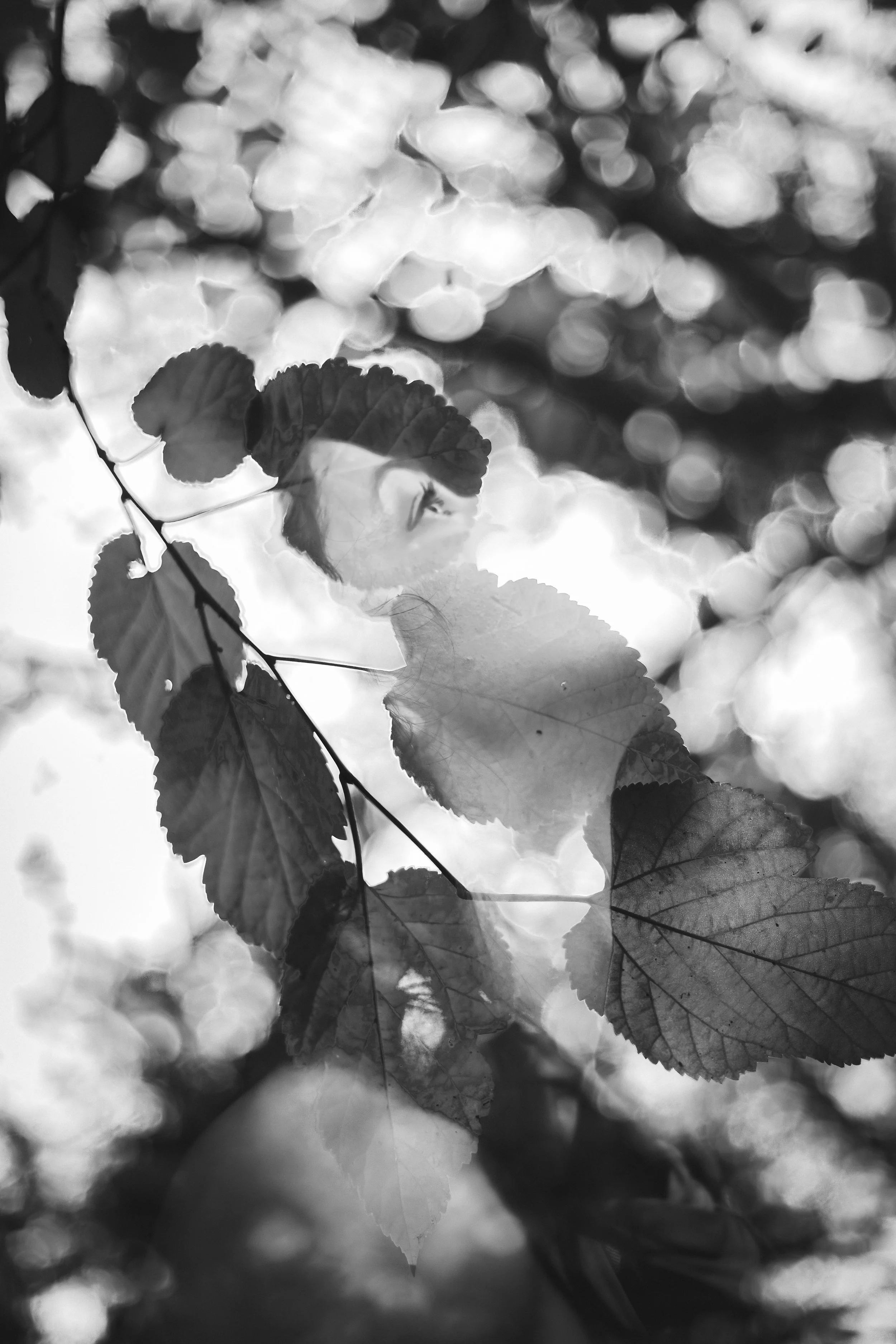 IMG_4515-2.jpeg