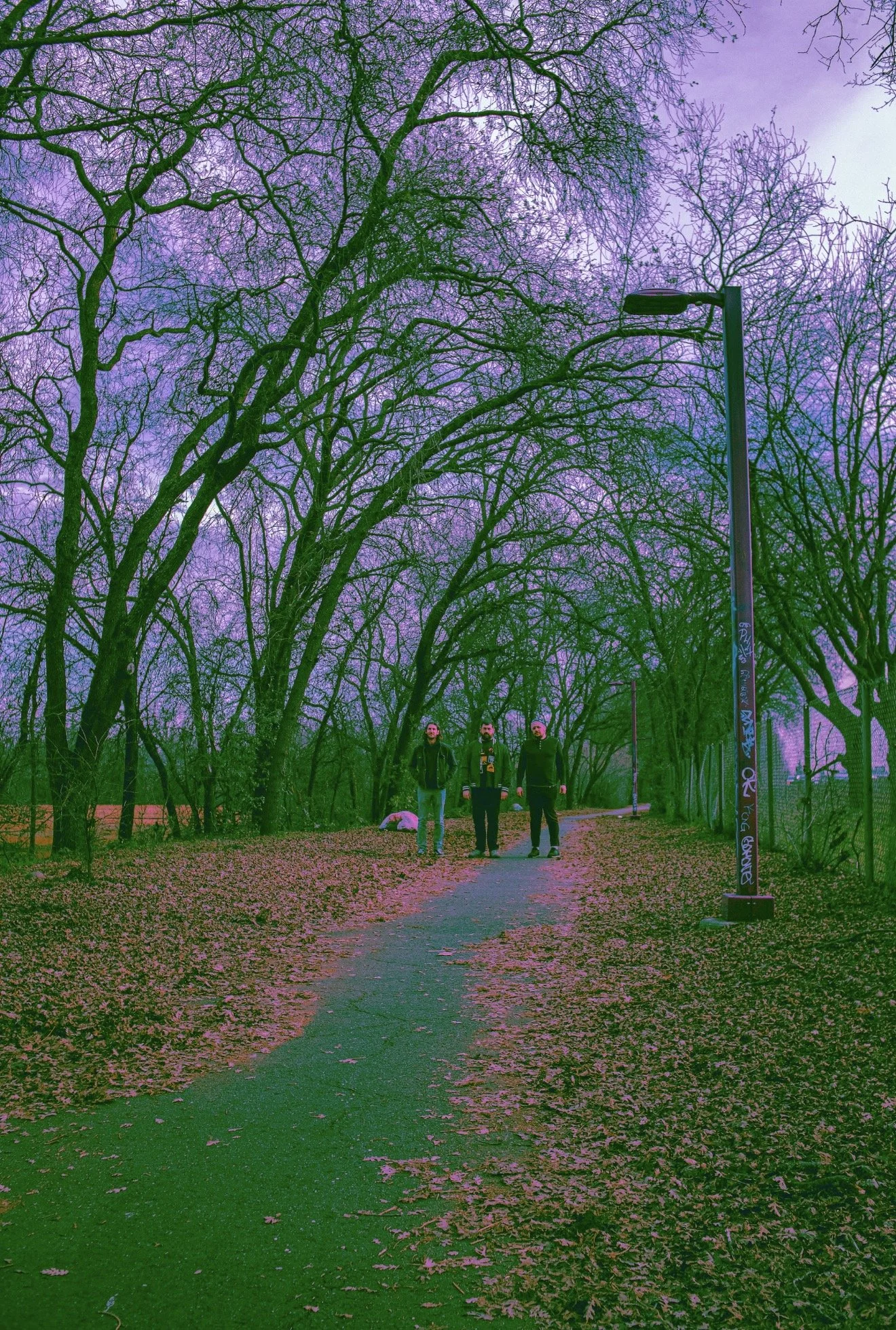 IMG_9100.PNG
