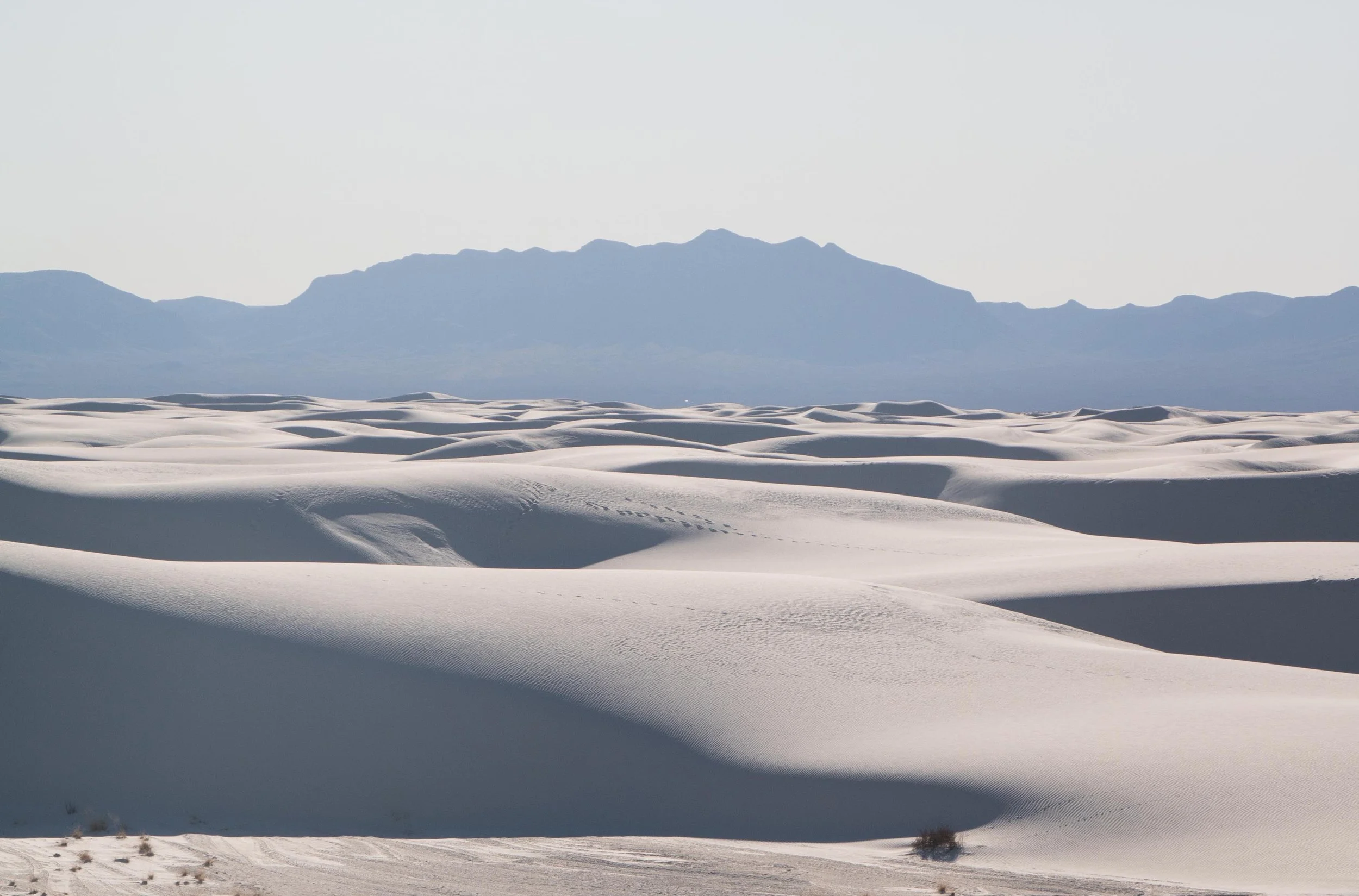 IMG_1083 copy 2.jpeg